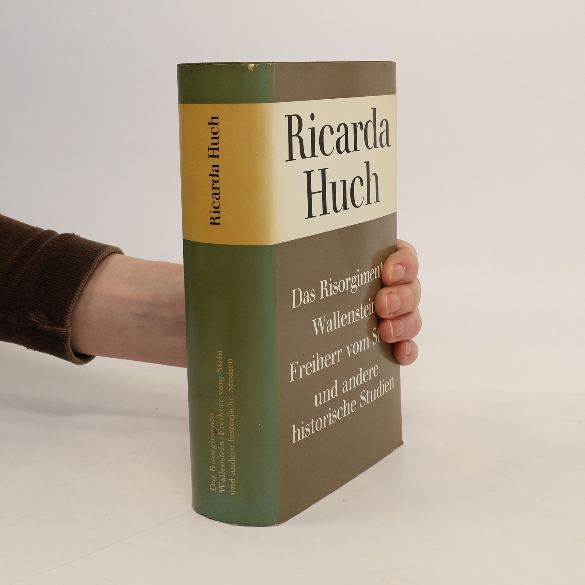 Das Risorgimento: Wallenstein, Freiherr vom Stein und andere historische Studien