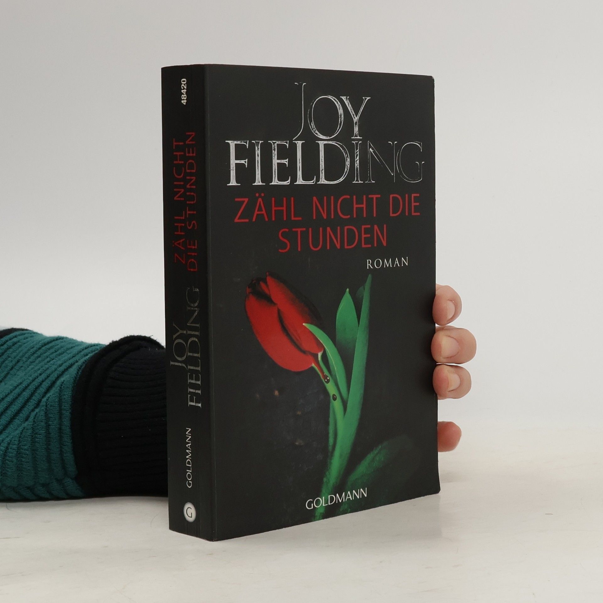 Joy Fielding Zähl nicht die Stunden