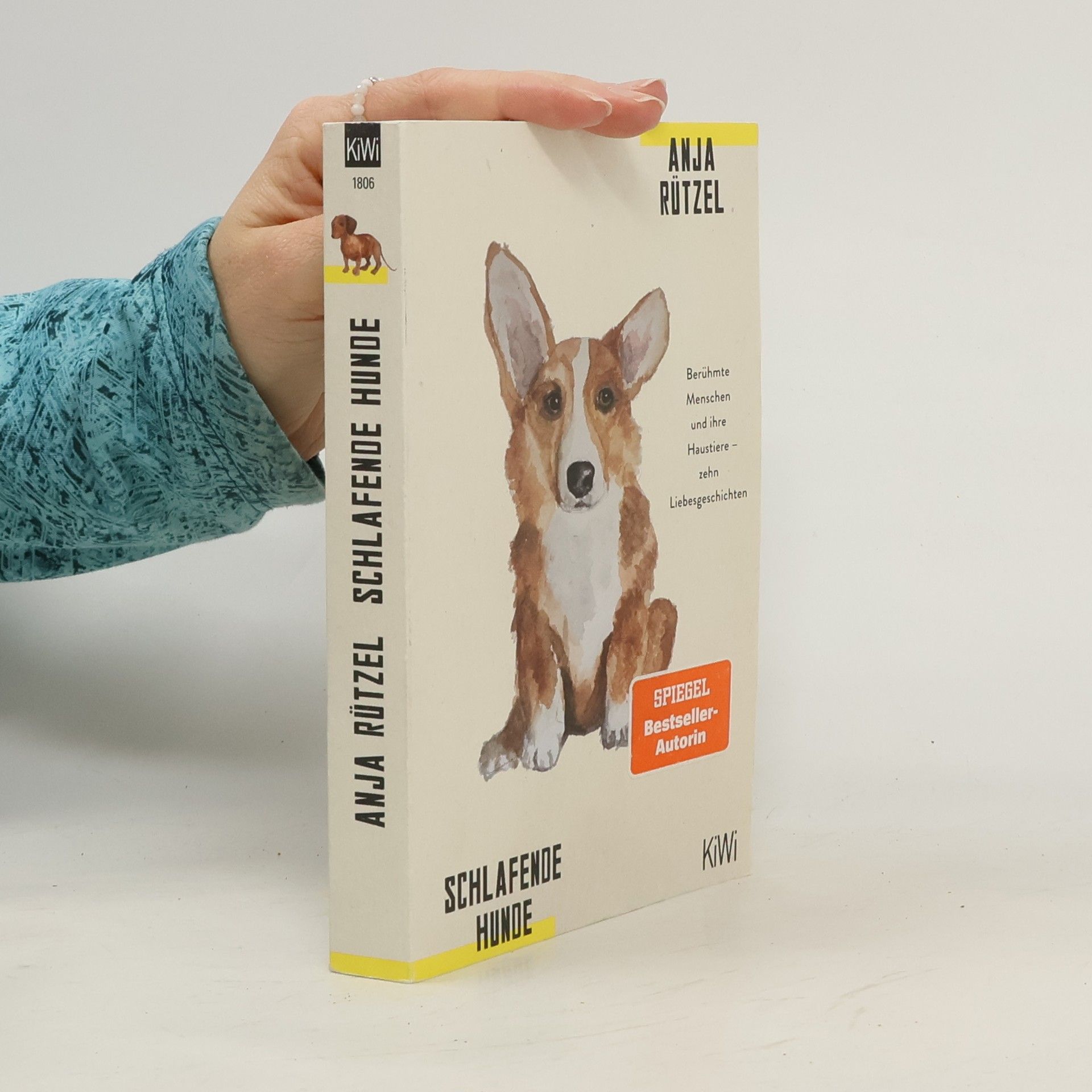 Anja Rützel Schlafende hunde