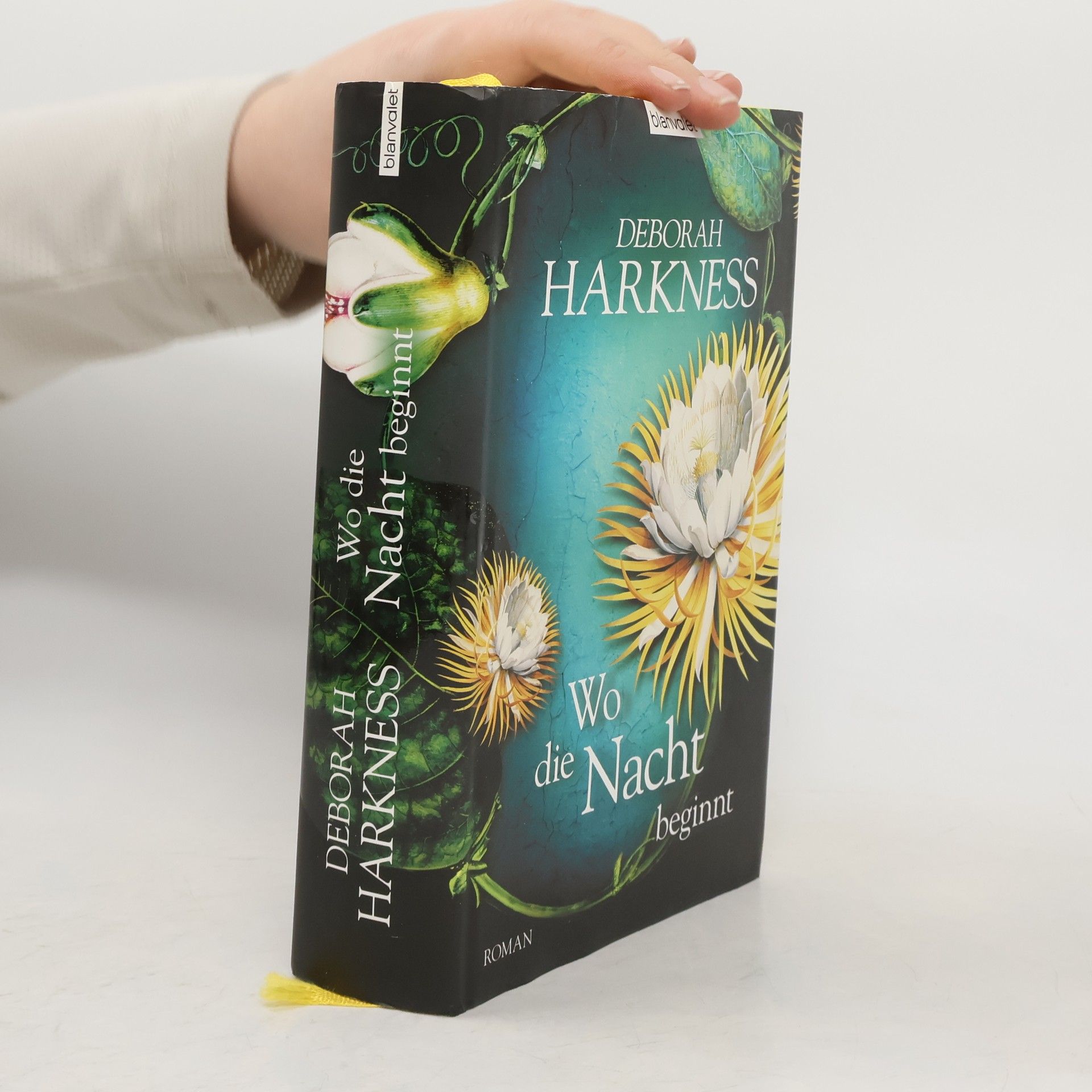 Deborah E. Harkness Wo die Nacht beginnt