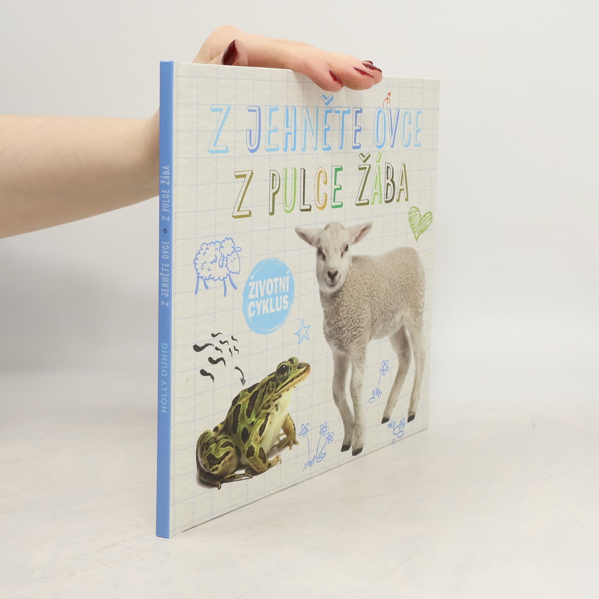 Holly Duhig Z jehněte ovce, z pulce žába