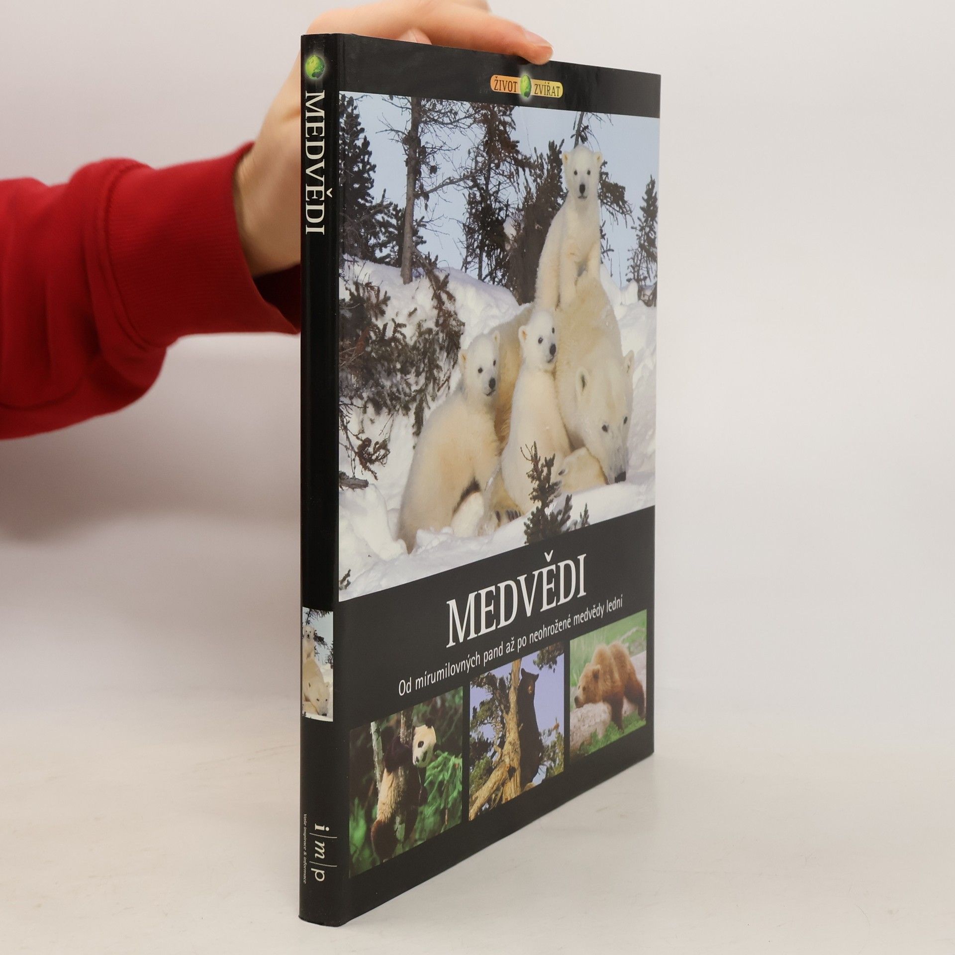 Hana Kendíková Medvědi