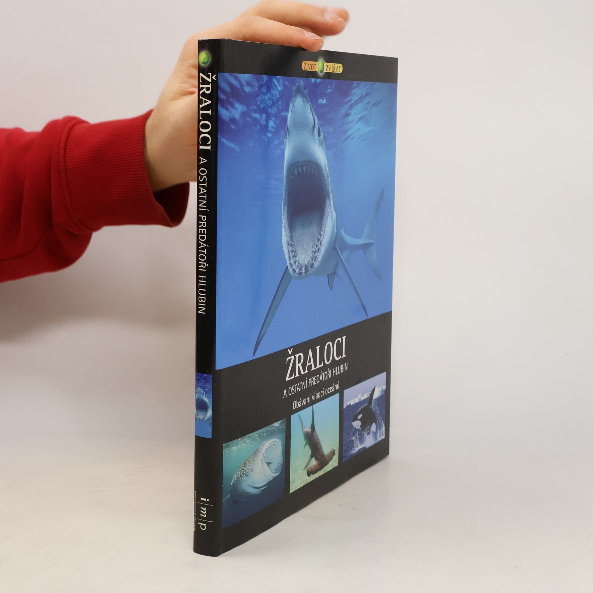 Žraloci a ostatní predátoři hlubin