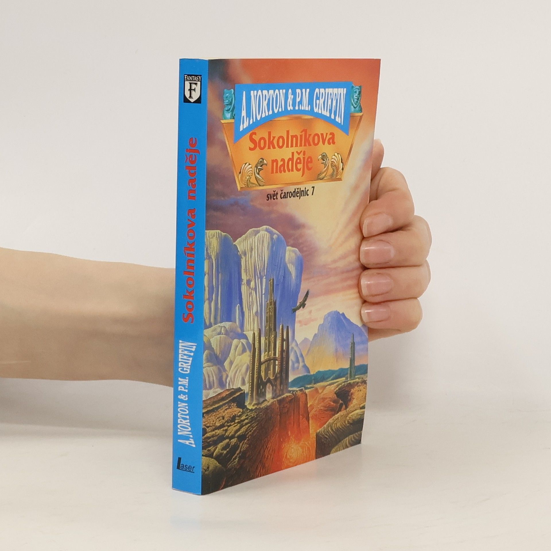 Andre Norton Svět čarodějnic 7, Sokolníkova naděje