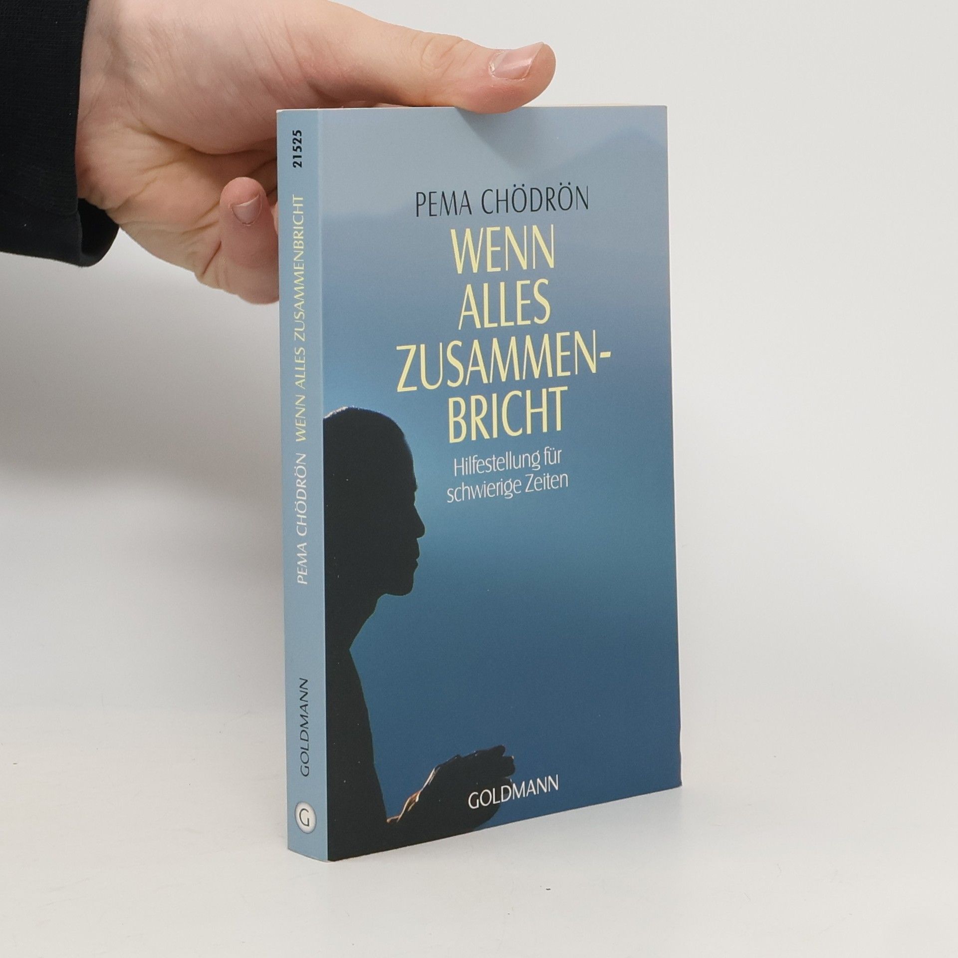 Pema Chödrön Wenn alles zusammenbricht