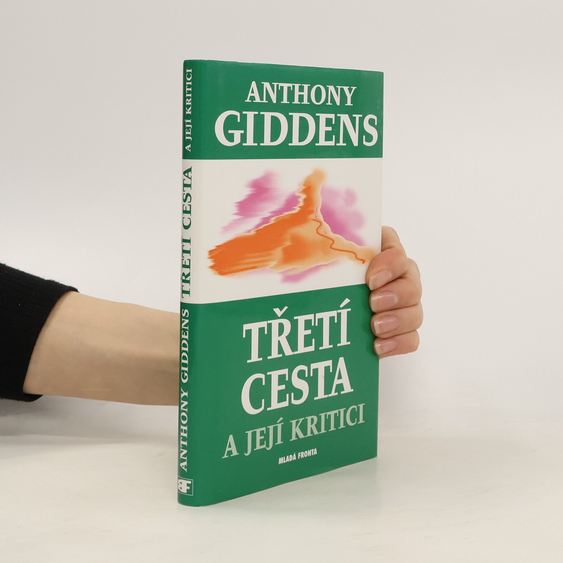 Anthony Giddens, Baron Giddens Třetí cesta a její kritici