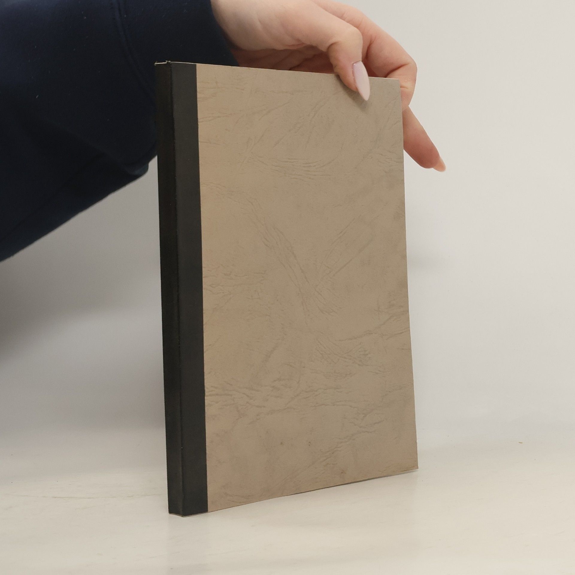 Wilhelm Kisky Die Domkapitel der geistlichen Kurfürsten