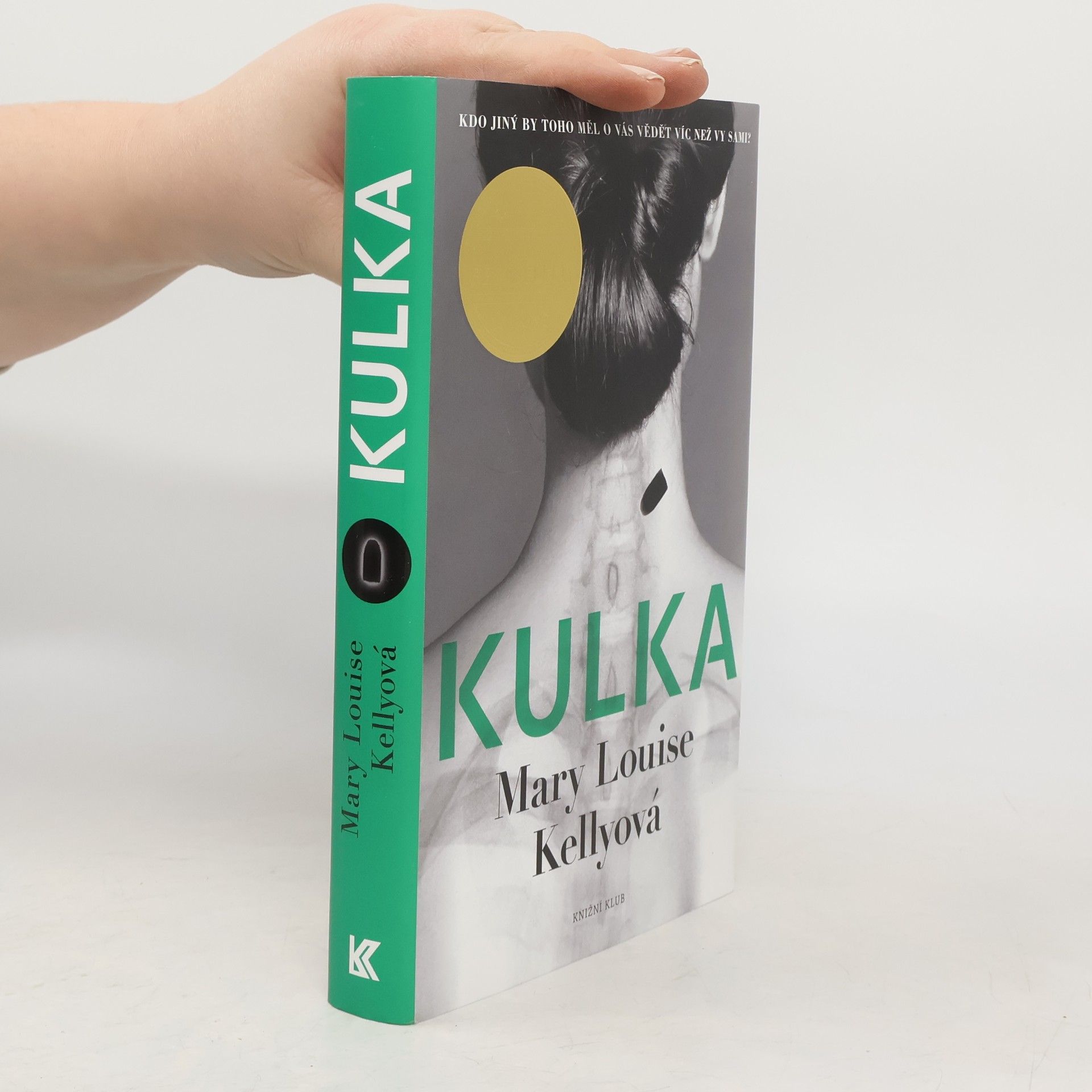 Mary Louise Kelly Kulka