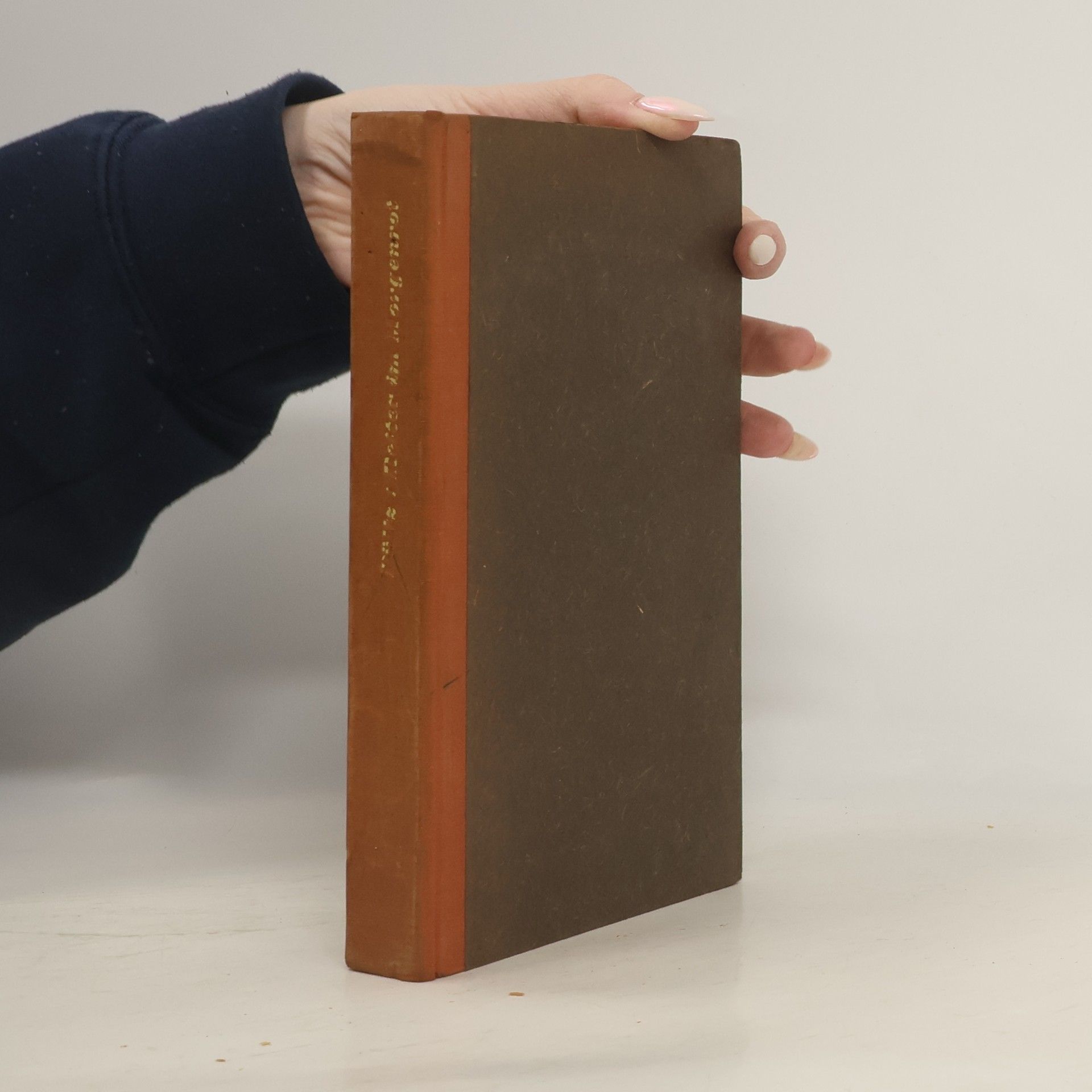 Wilhelm Pültz Reiter im Morgenrot