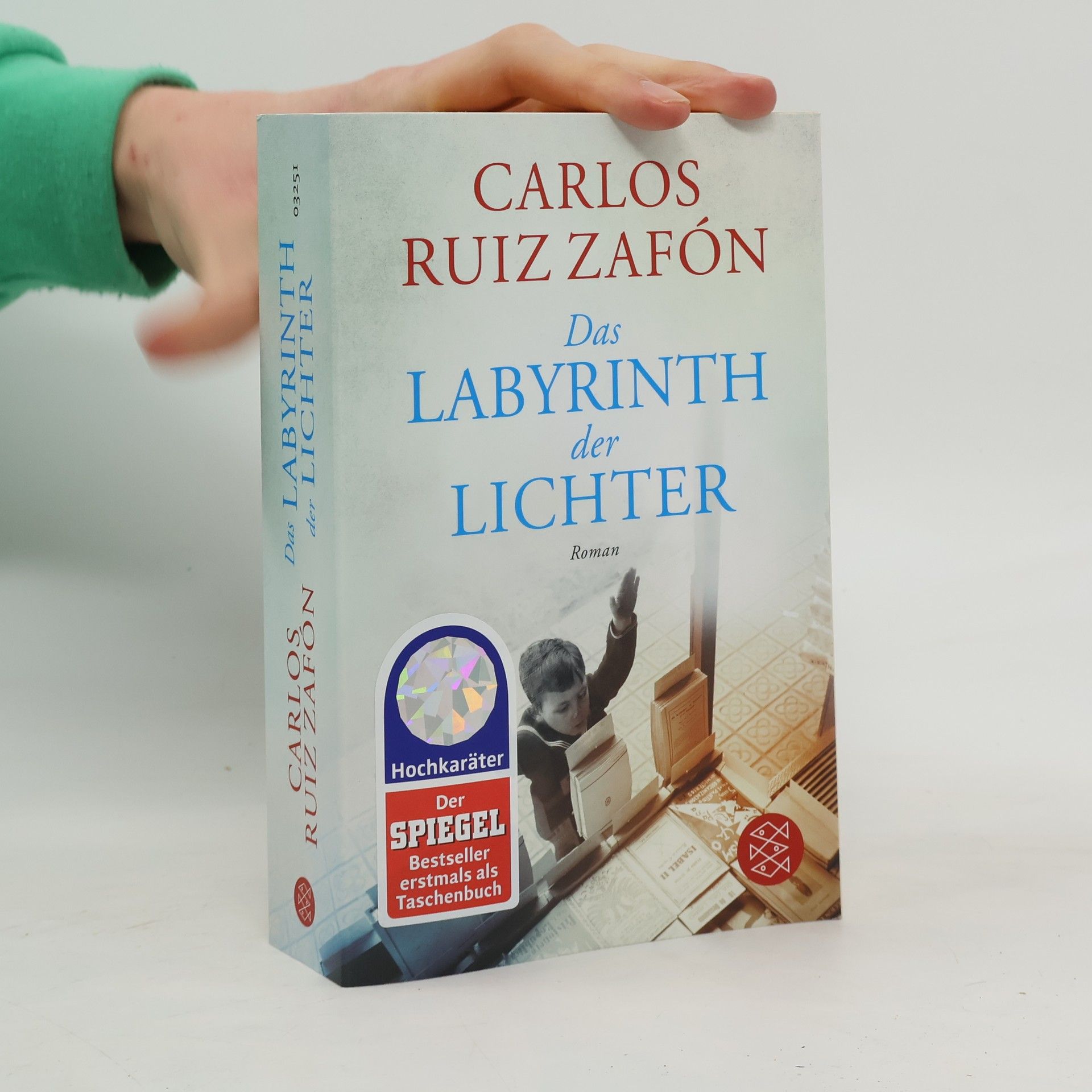 Carlos Ruiz Safon Das Labyrinth der Lichter