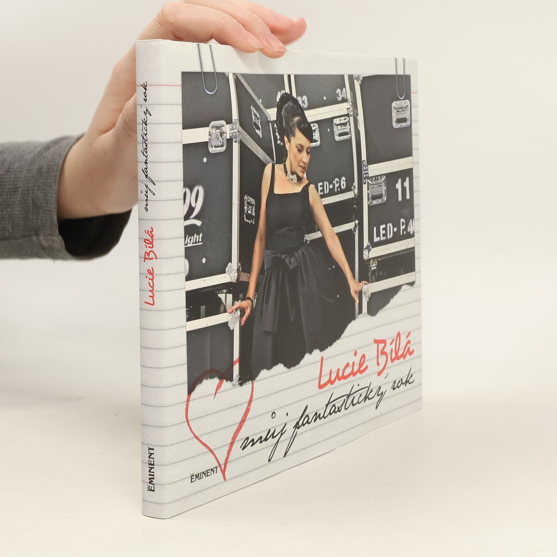 Můj fantastický rok