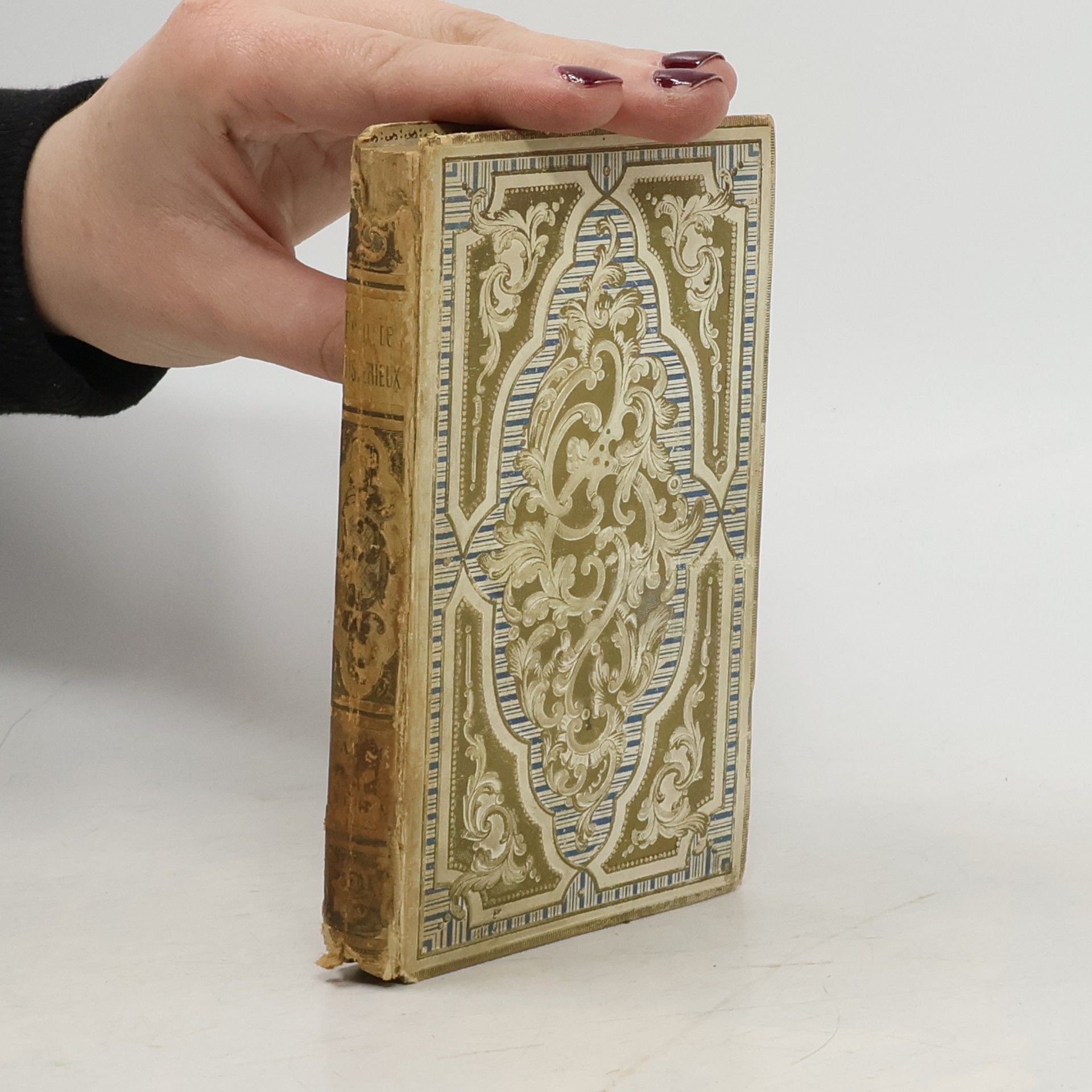 Adrien Lemercier L'ermite mystérieux ou la grotte de Béatus