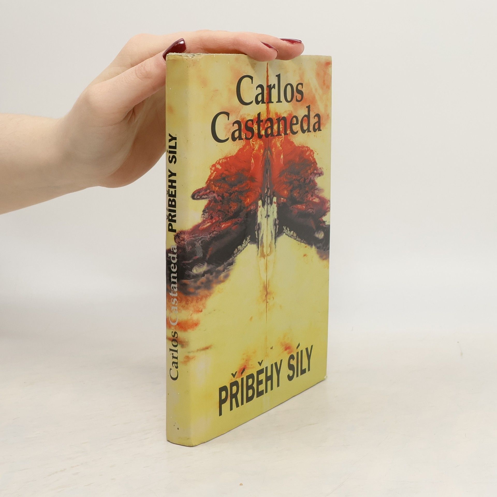 Carlos Castaneda Příběhy síly