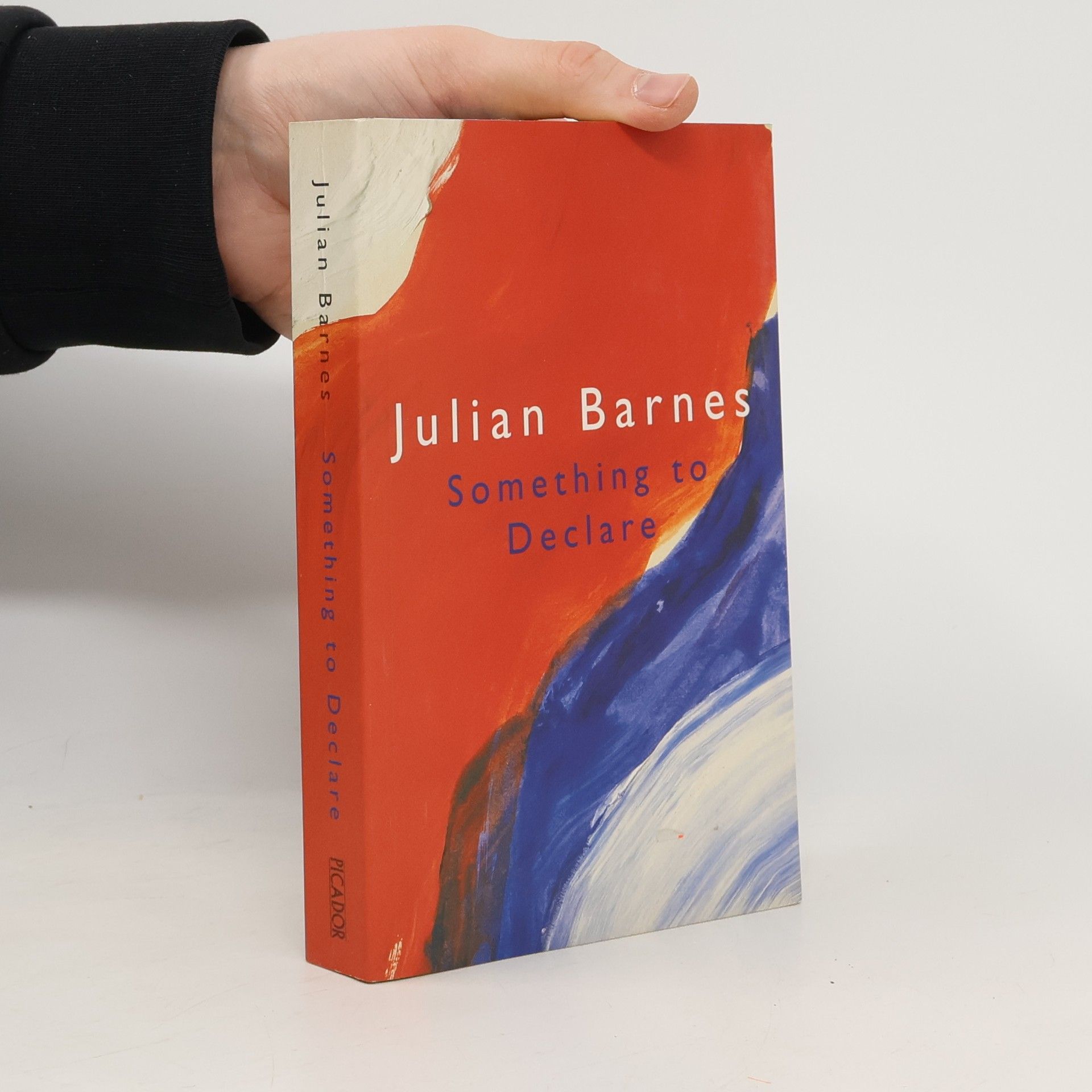 Julian Barnes Something to Declare