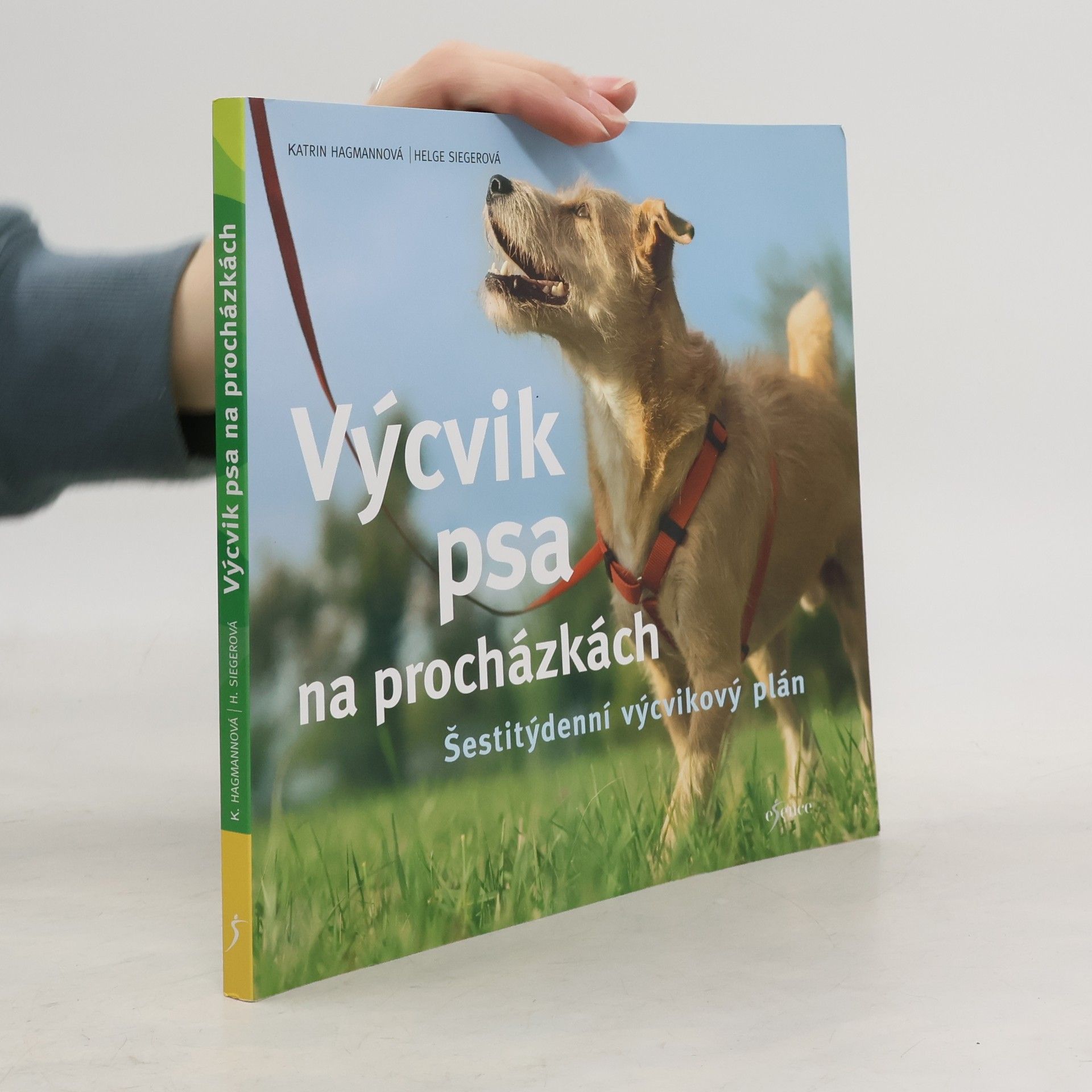 Výcvik psa na procházkách