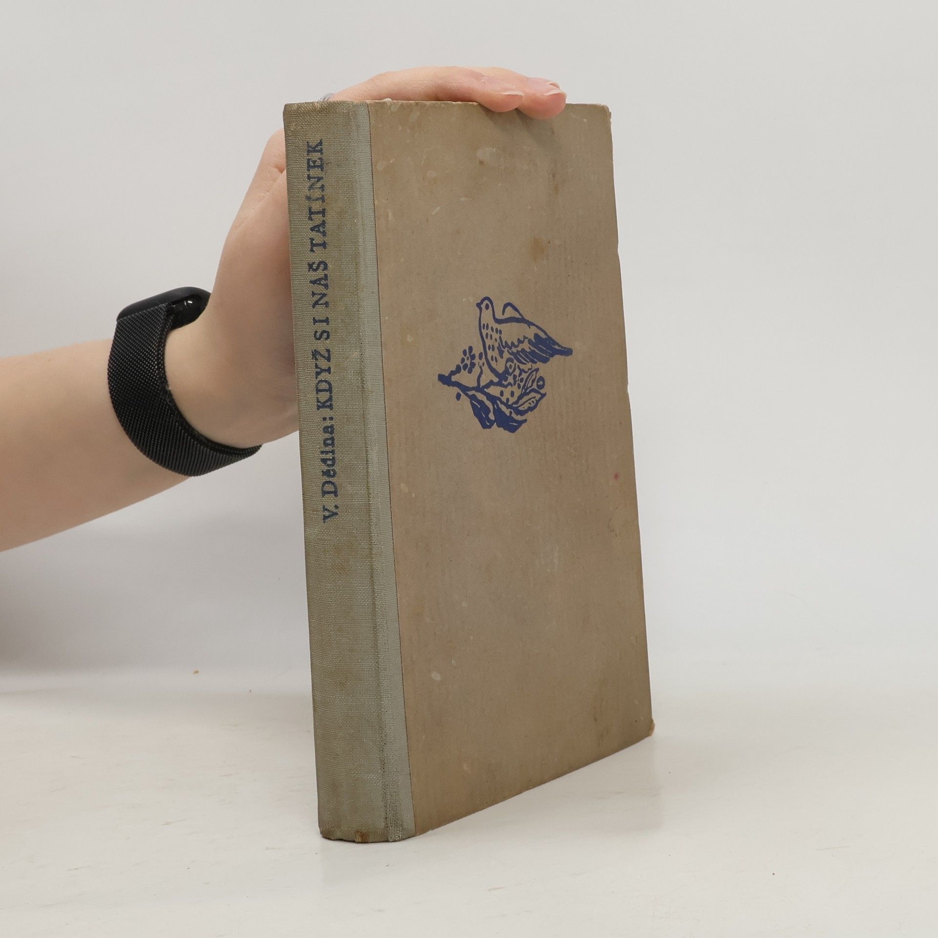 Když si náš tatínek maminku bral : Paměti Františka Dědiny