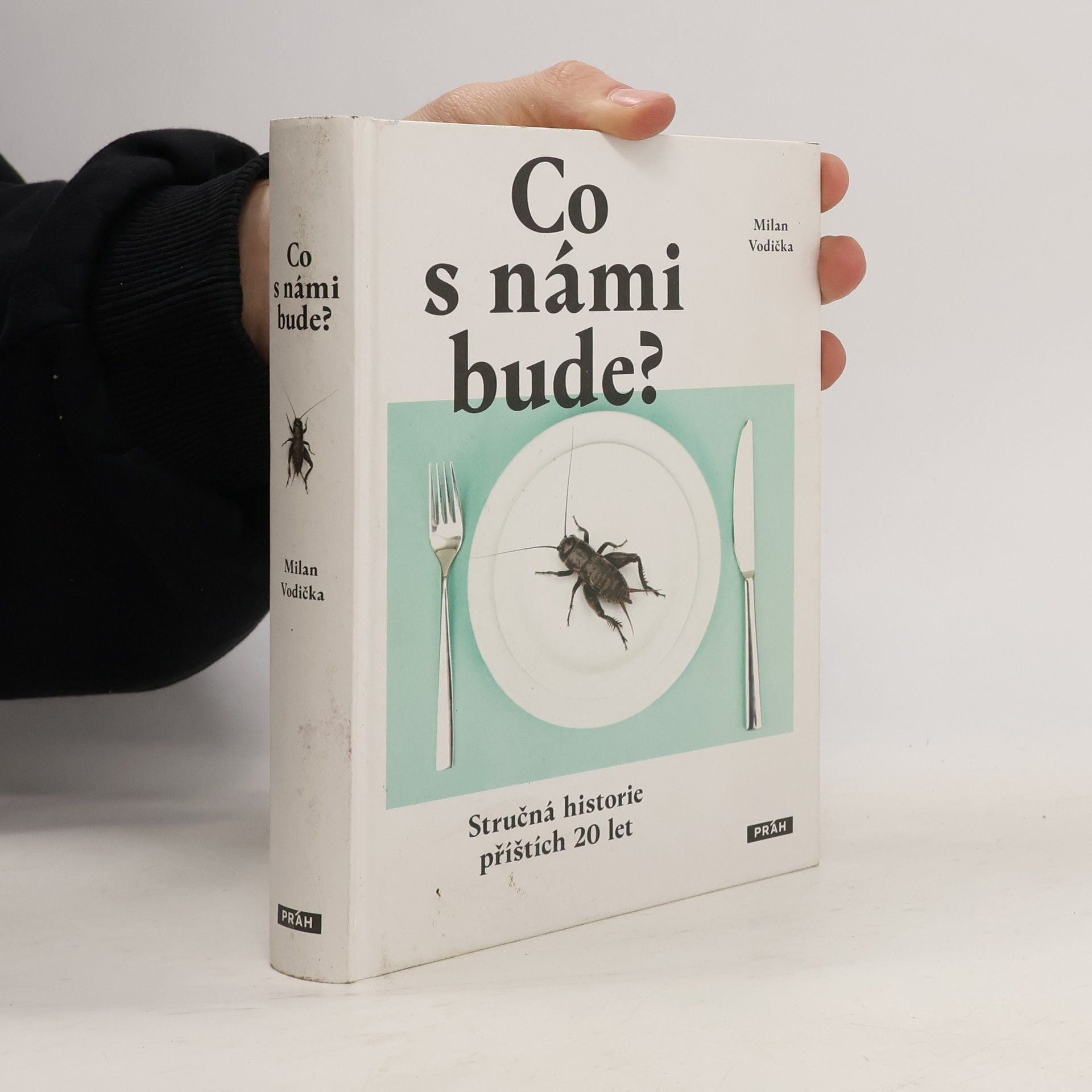 Co s námi bude? : stručná historie příštích 20 let