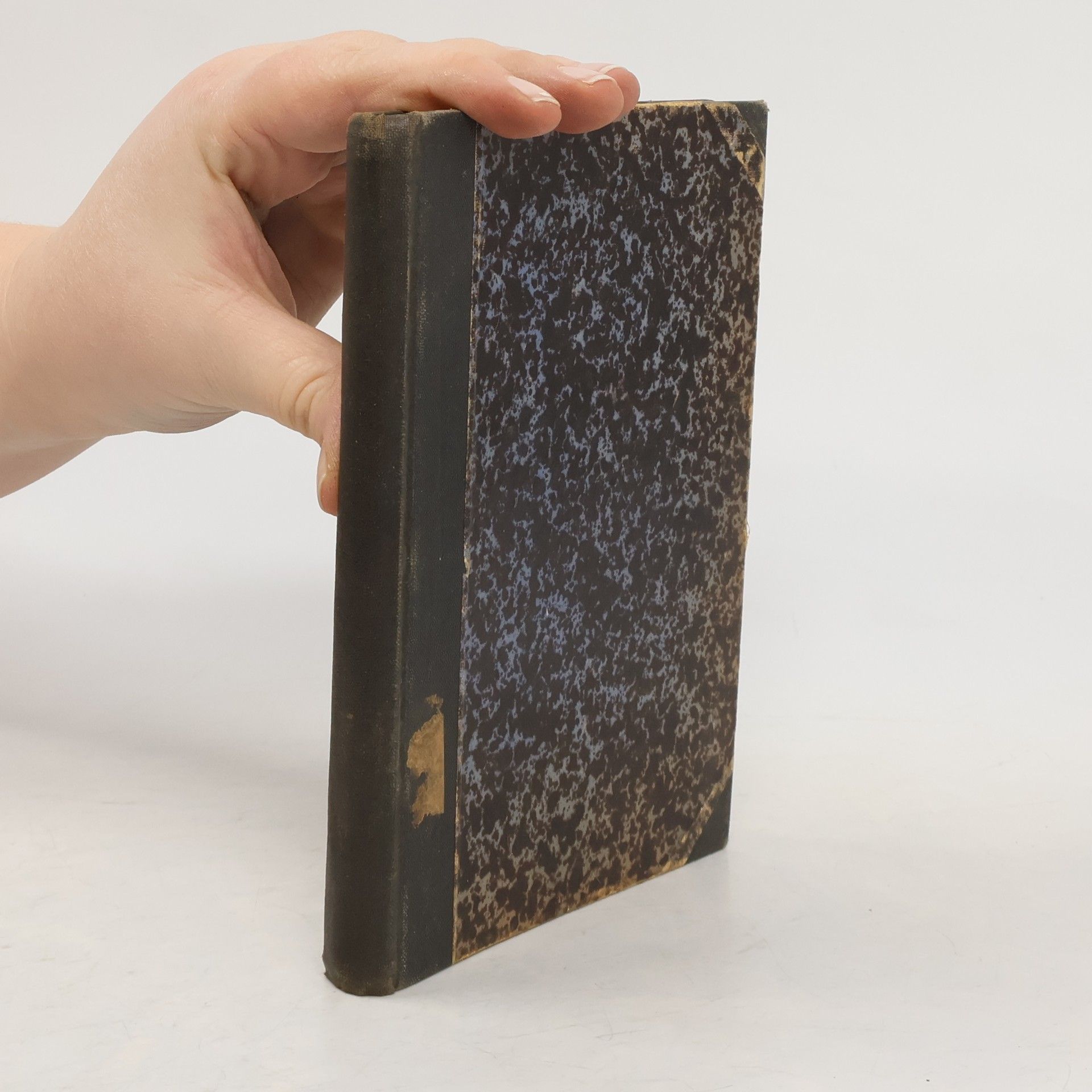 František Serafínský Procházka Různé zvuky