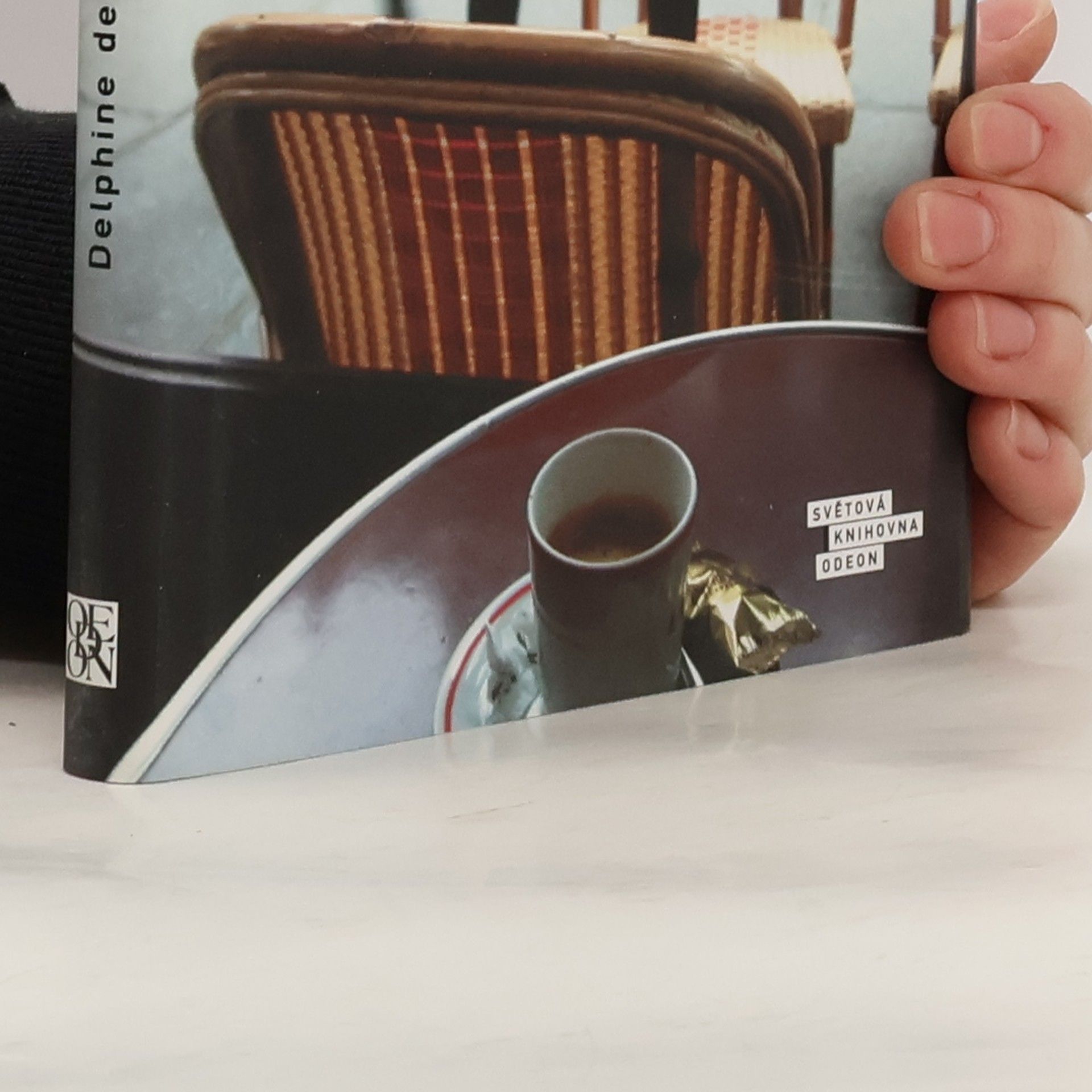 Delphine de Vigan Ani později, ani jinde