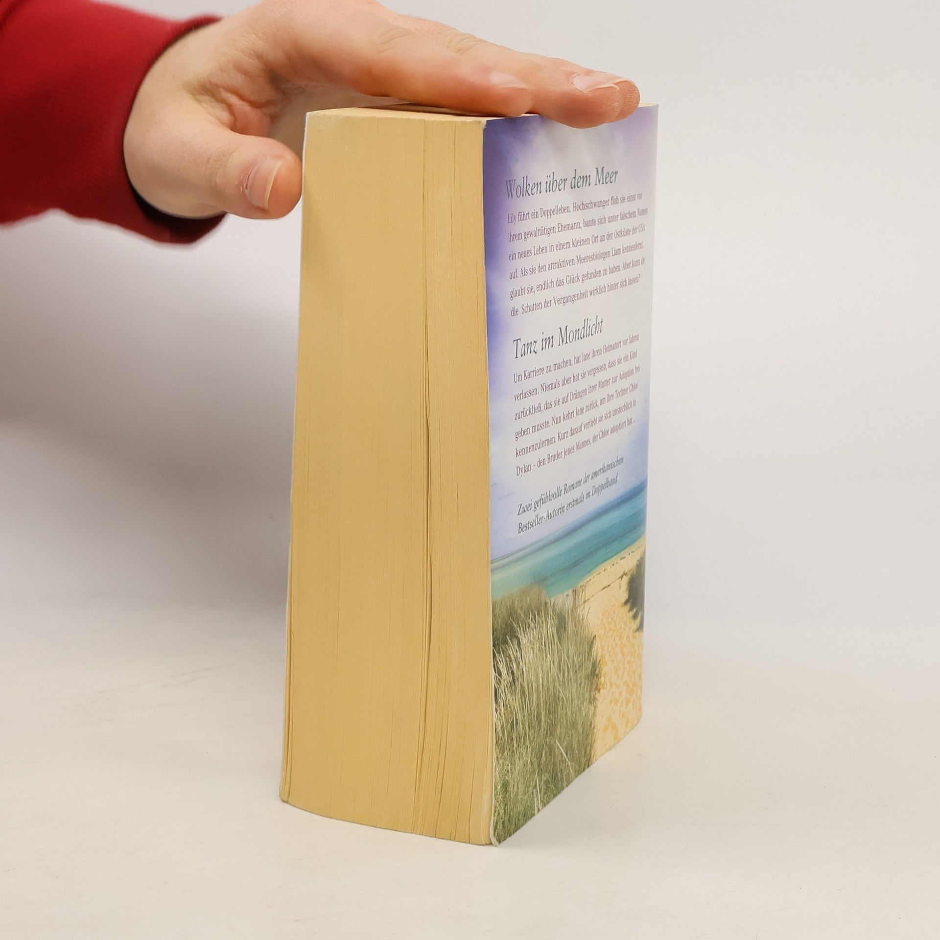 Luanne Rice Wolken über dem Meer