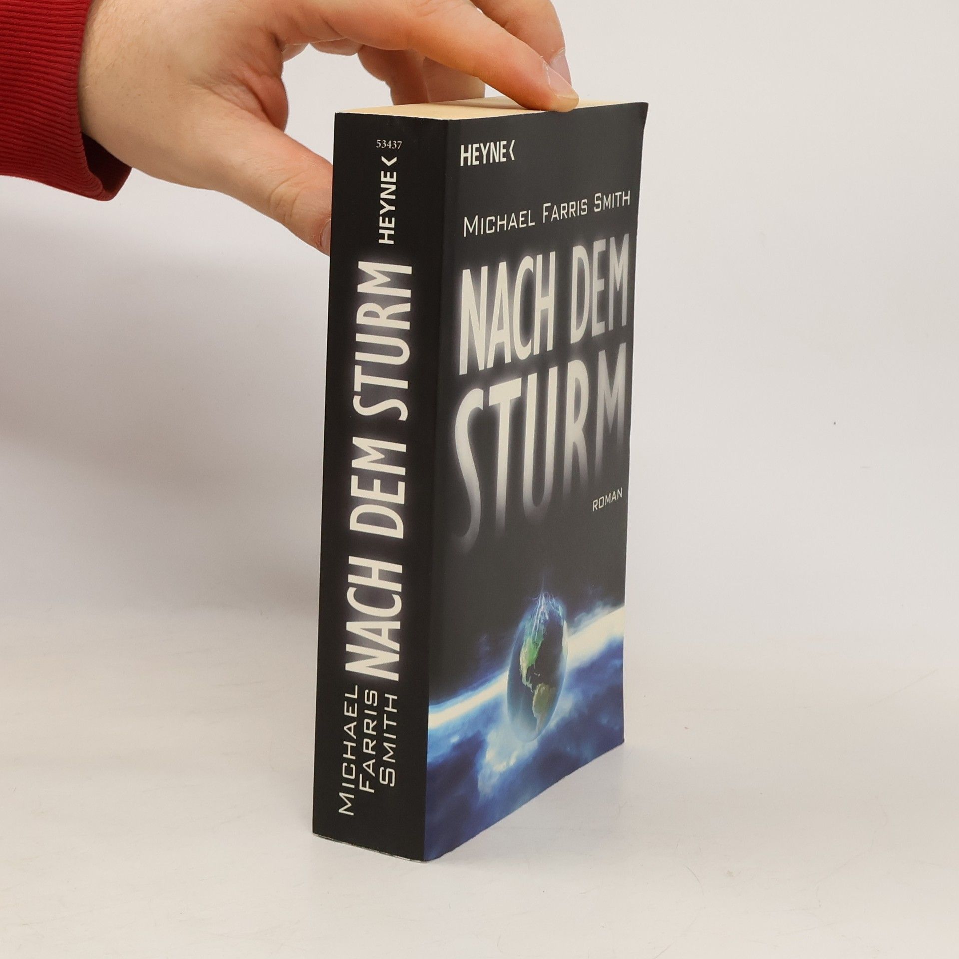 Michael Farris Smith Nach dem Sturm. Roman