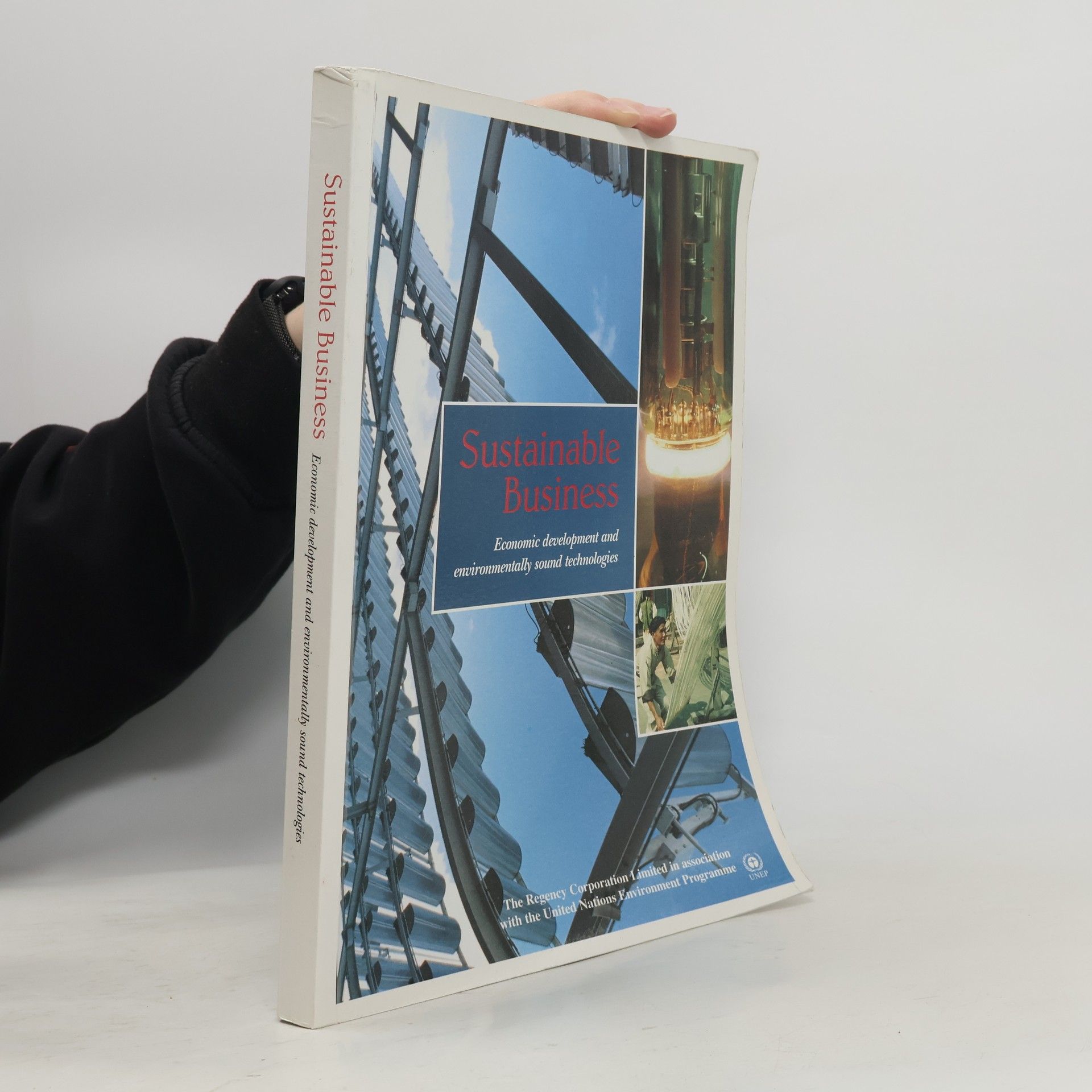 Collectif d'auteurs Sustainable Business