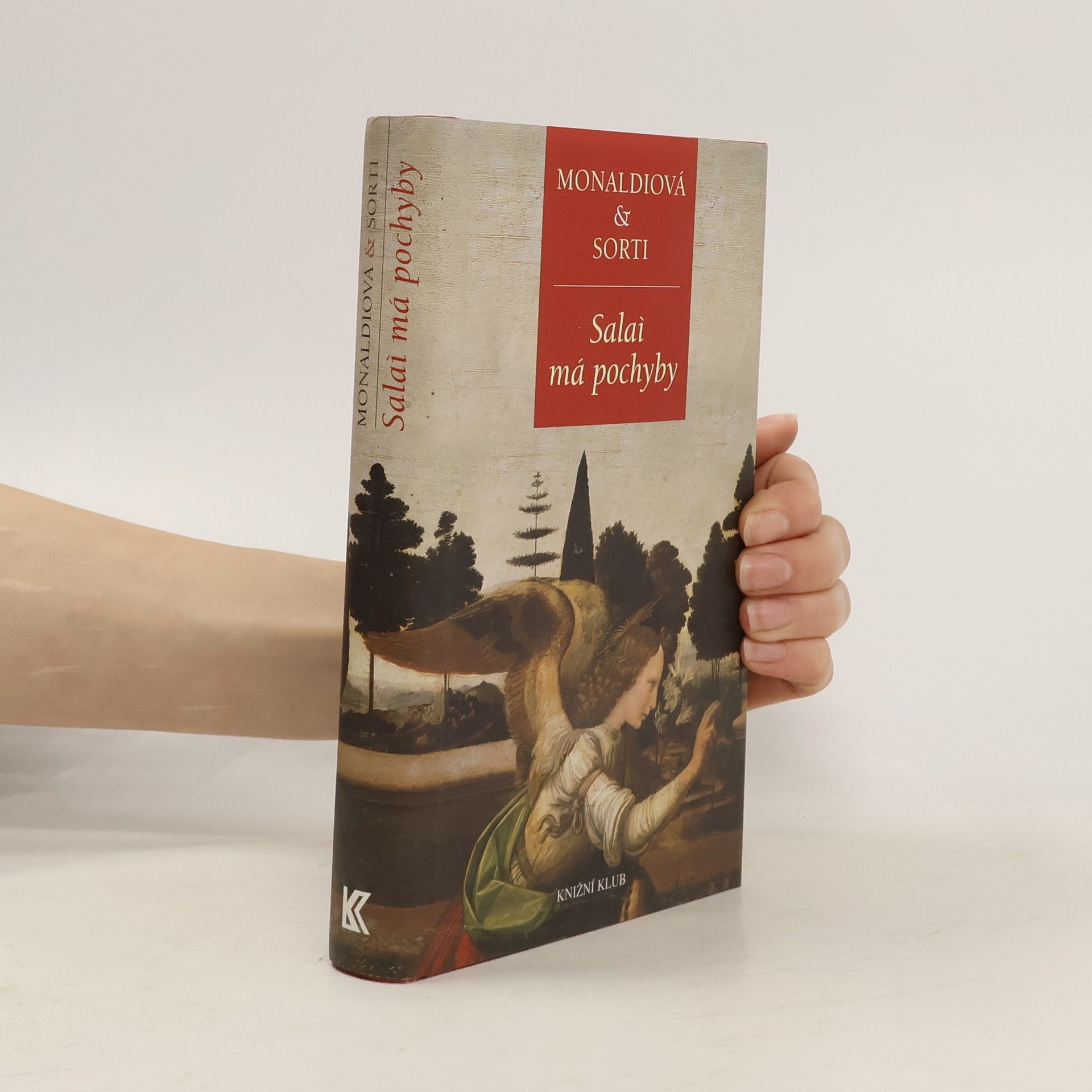 Rita Monaldi Salaì má pochyby: O pátrání malíře pana Lionarda, svého mistra a adoptivního otce