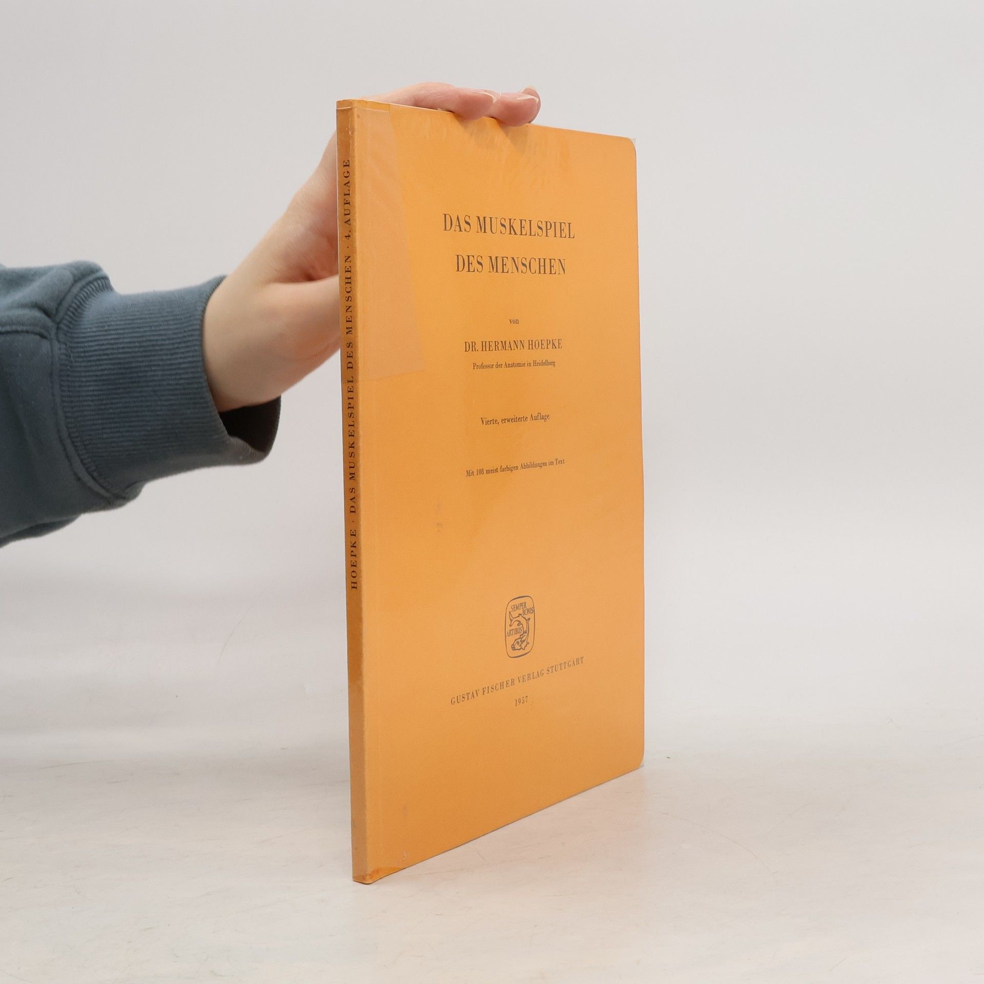 Das Muskelspiel des Menschen