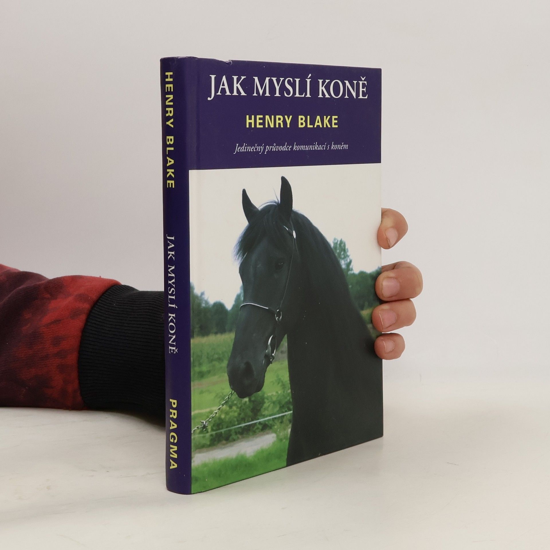 H. N. Blake Jak myslí koně
