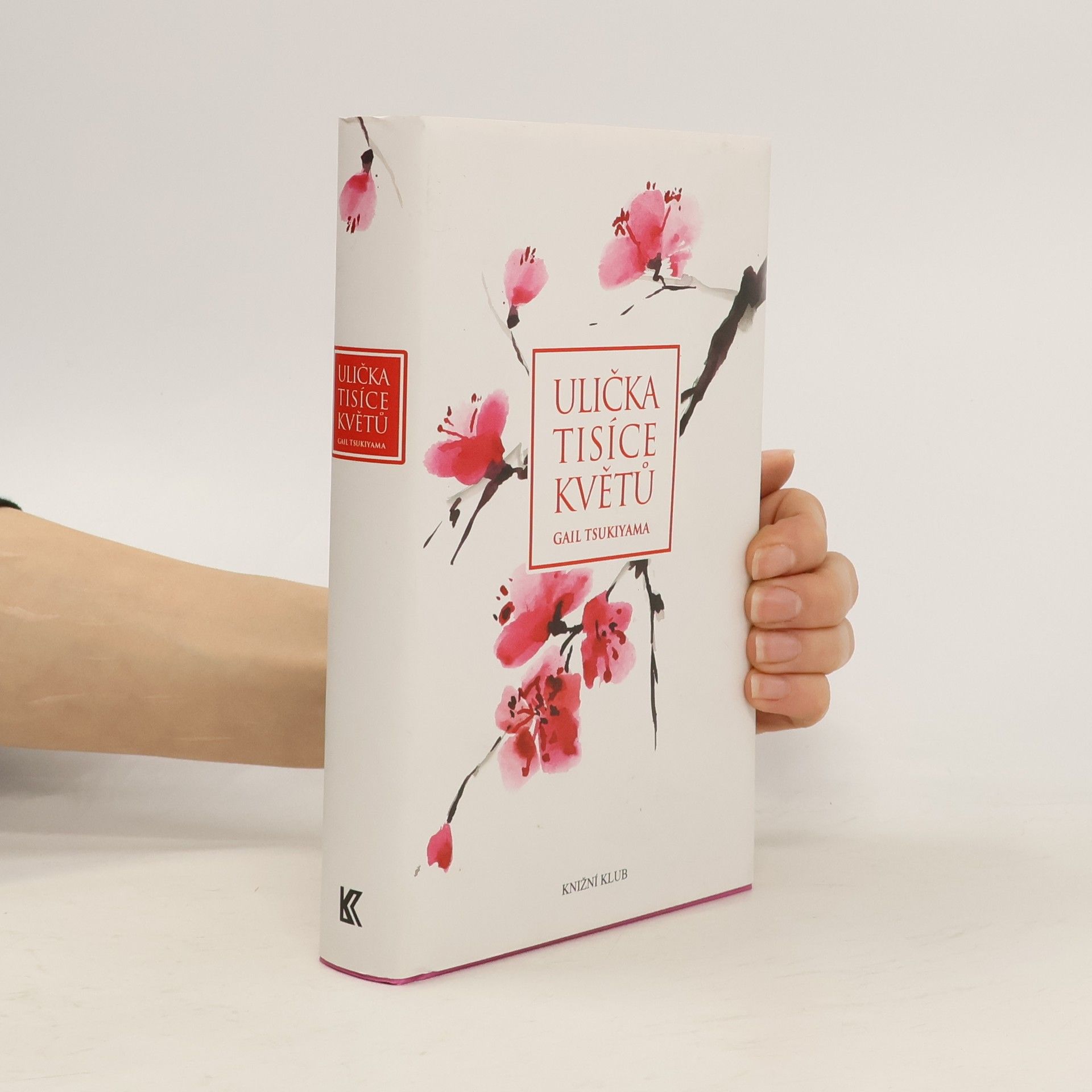 Gail Tsukiyama Ulička tisíce květů