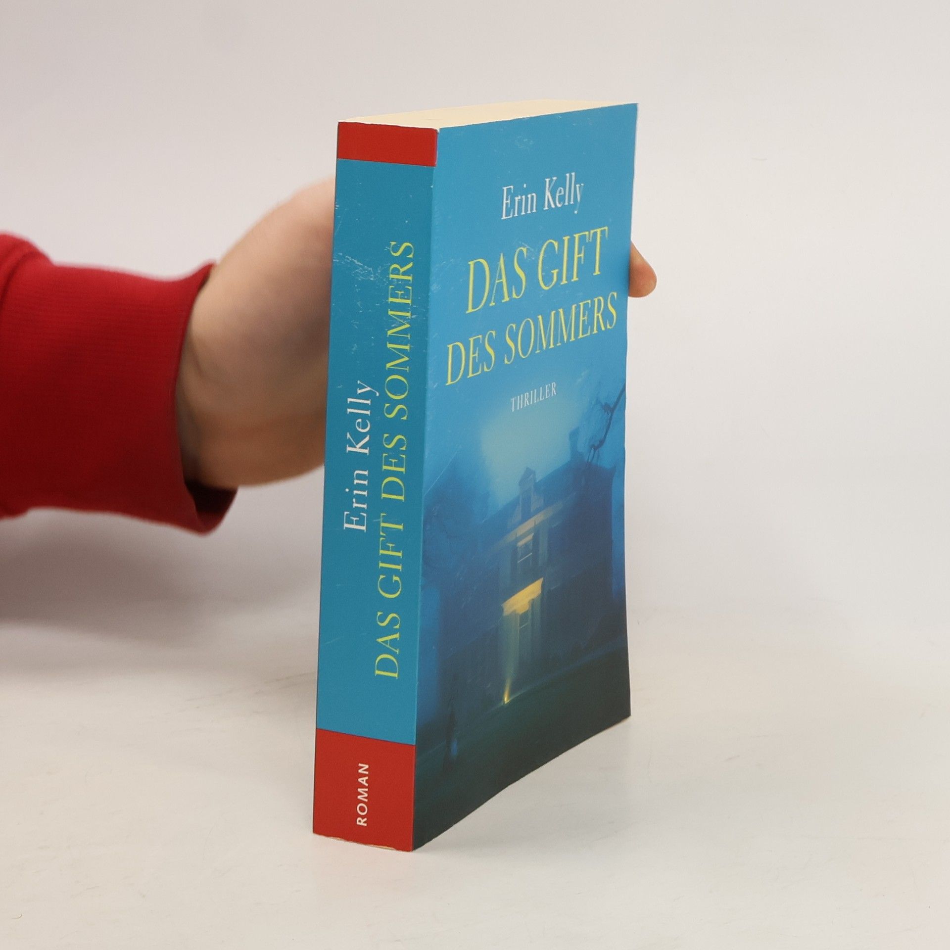 Erin Kelly Das Gift des Sommers