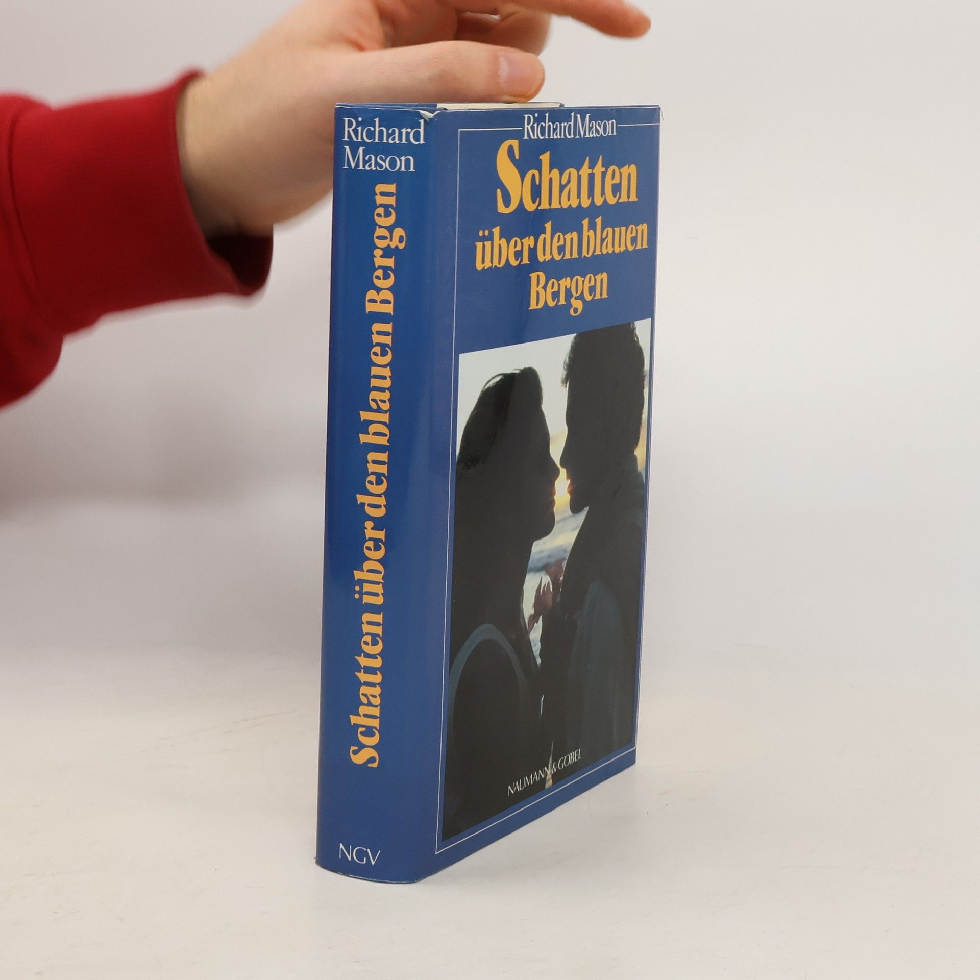 Richard Podaný Schatten über den blauen Bergen