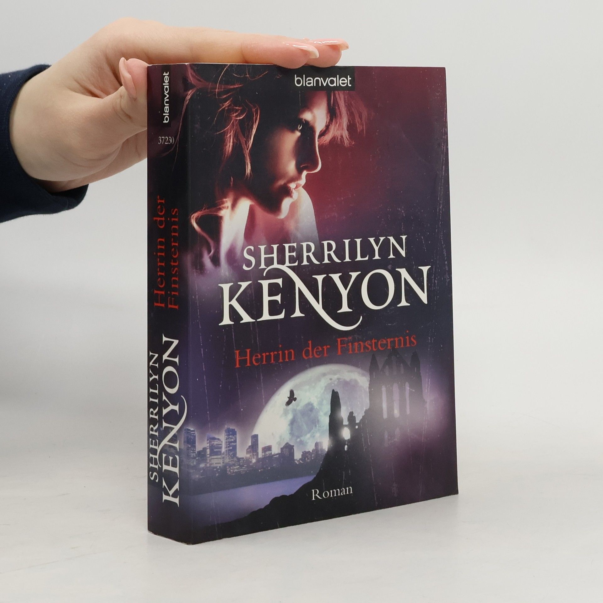 Kinley MacGregor Herrin der Finsternis