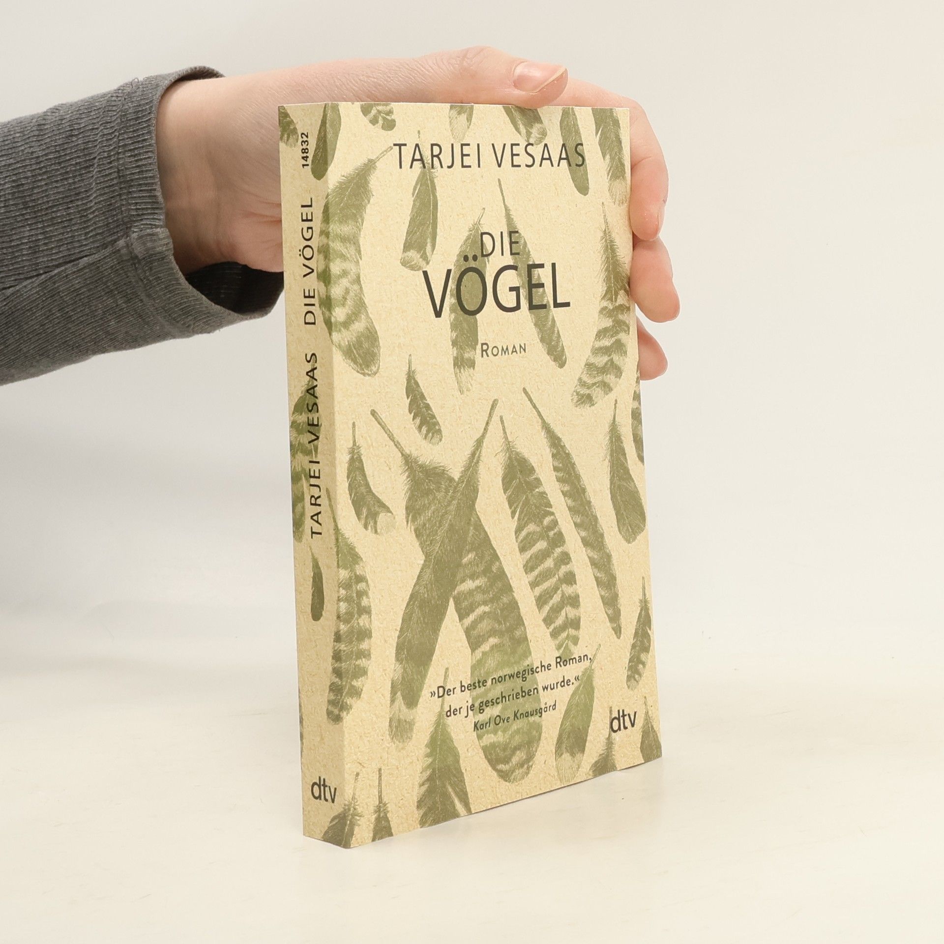 Tarjei Vesaas Die Vögel