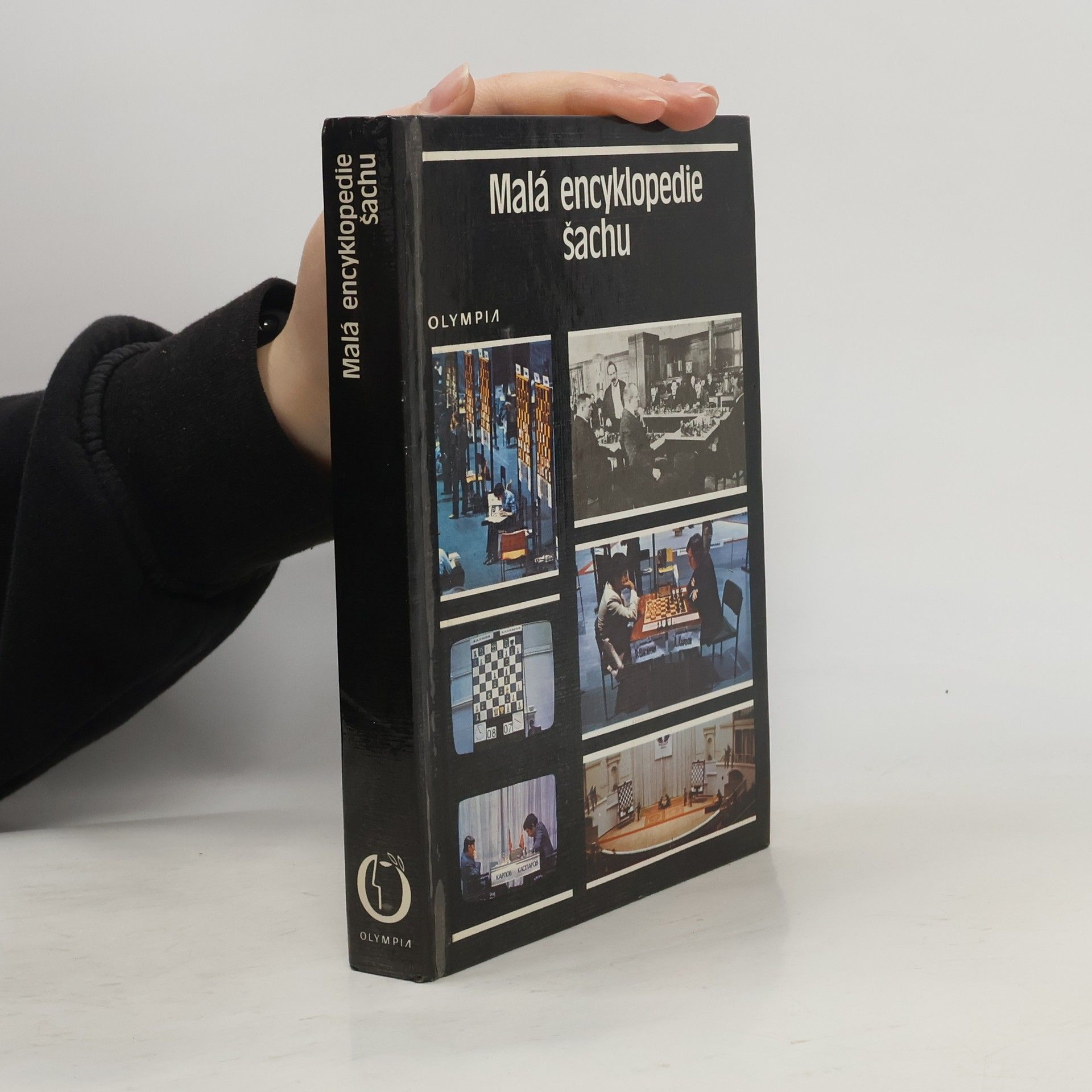 Malá encyklopedie šachu