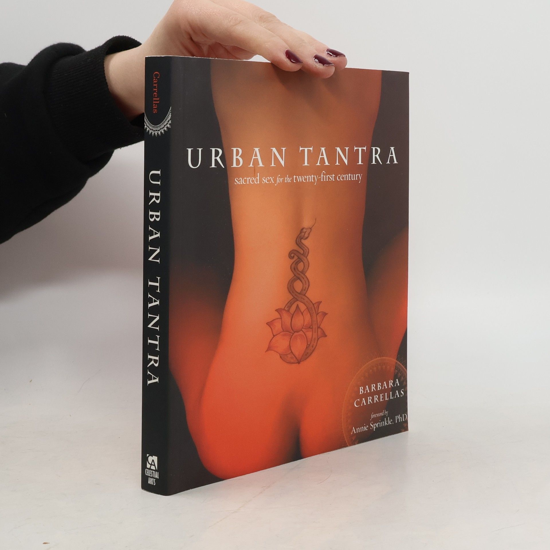 Urban tantra : sacred sex for the twenty-first century