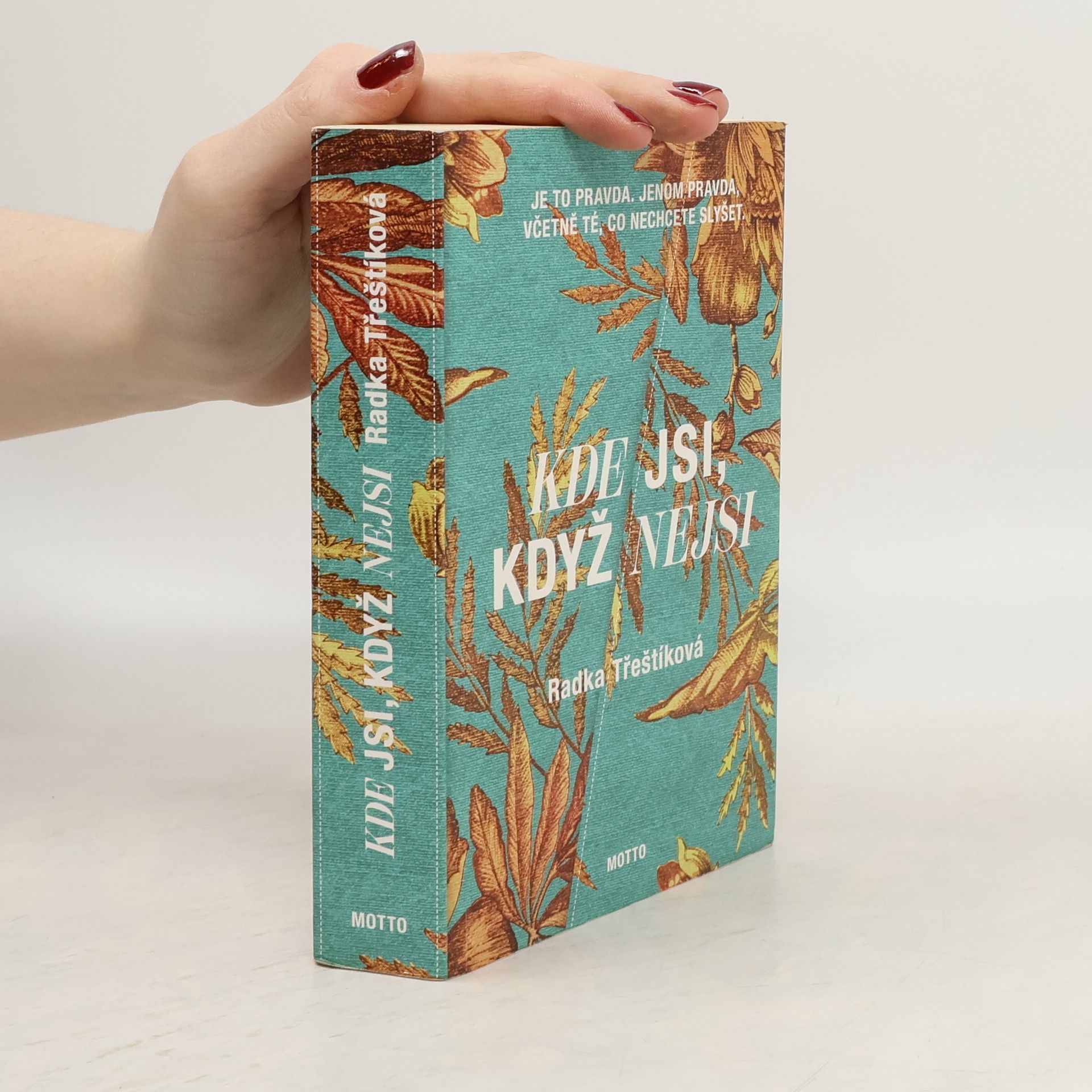 Radka Třeštíková Kde jsi, když nejsi