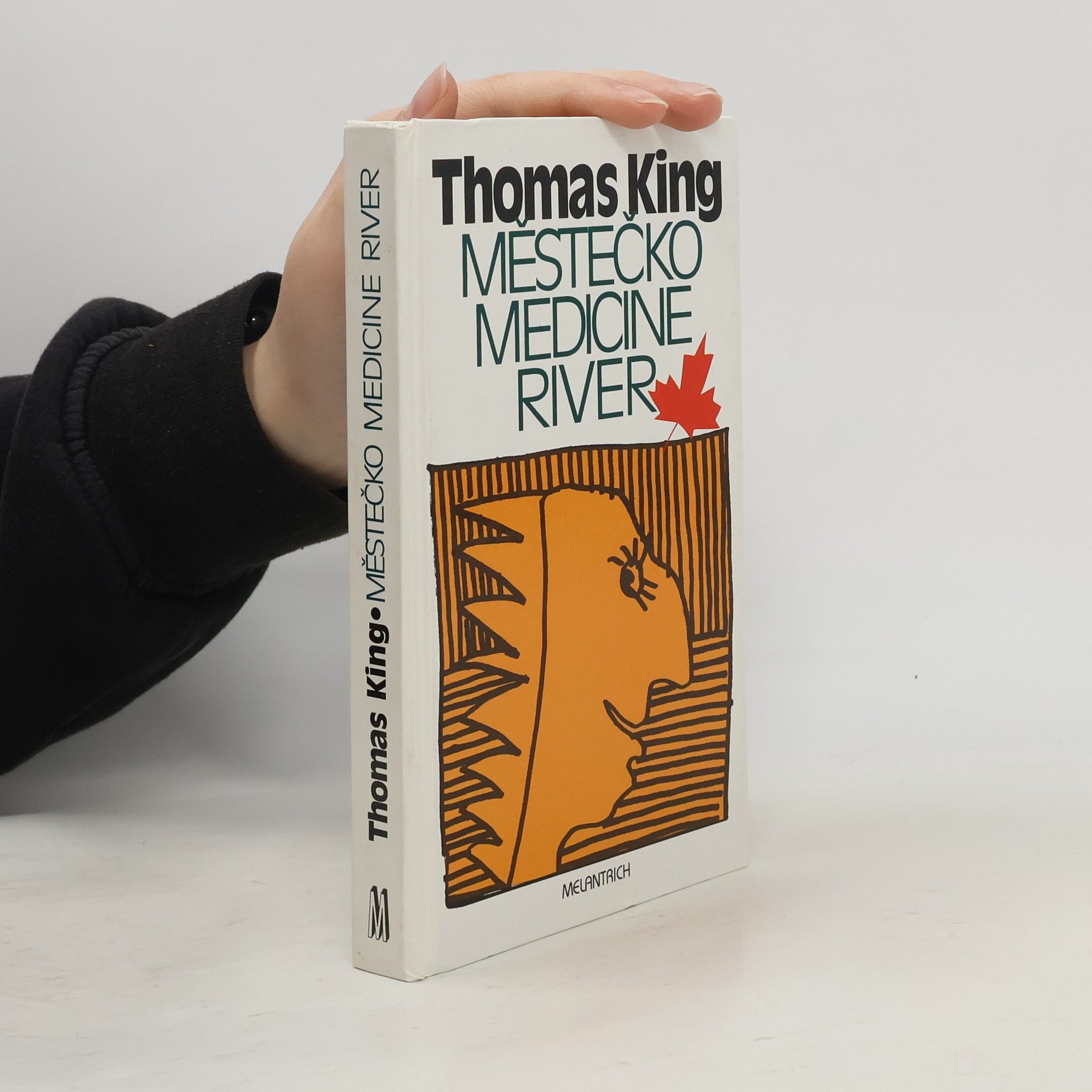 Thomas King Městečko Medicine River