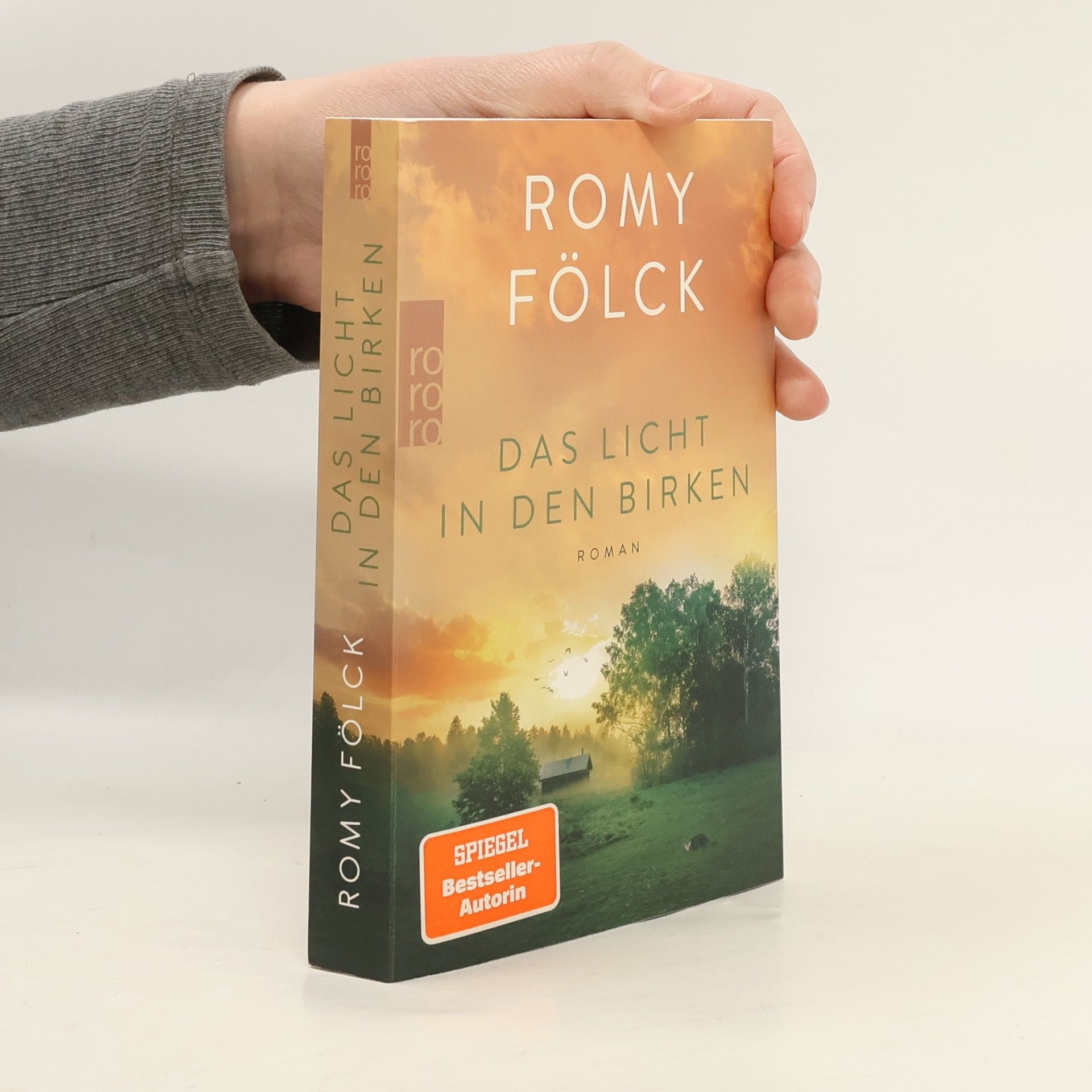 Romy Fölck Das Licht in den Birken