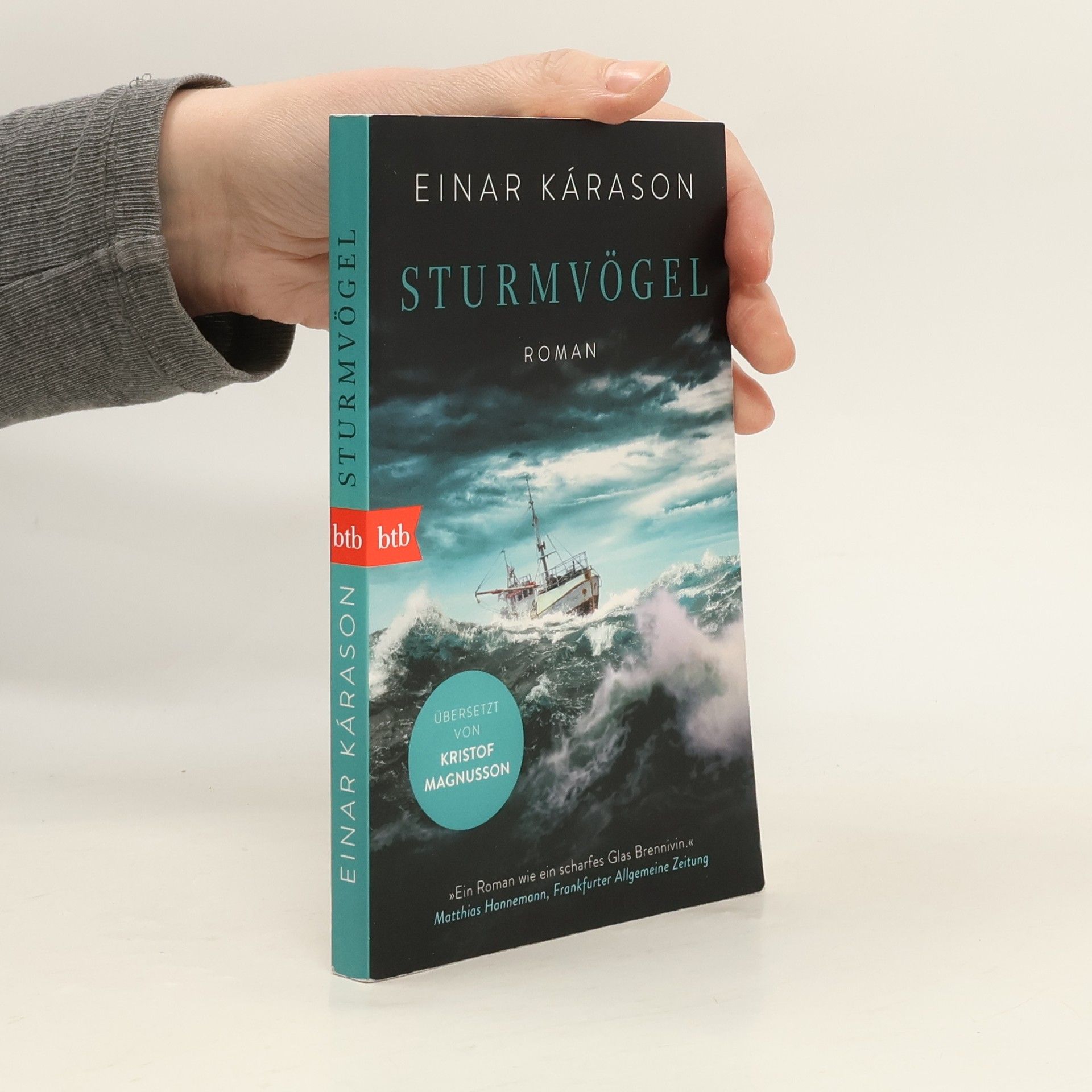 Einar Kárason Sturmvögel