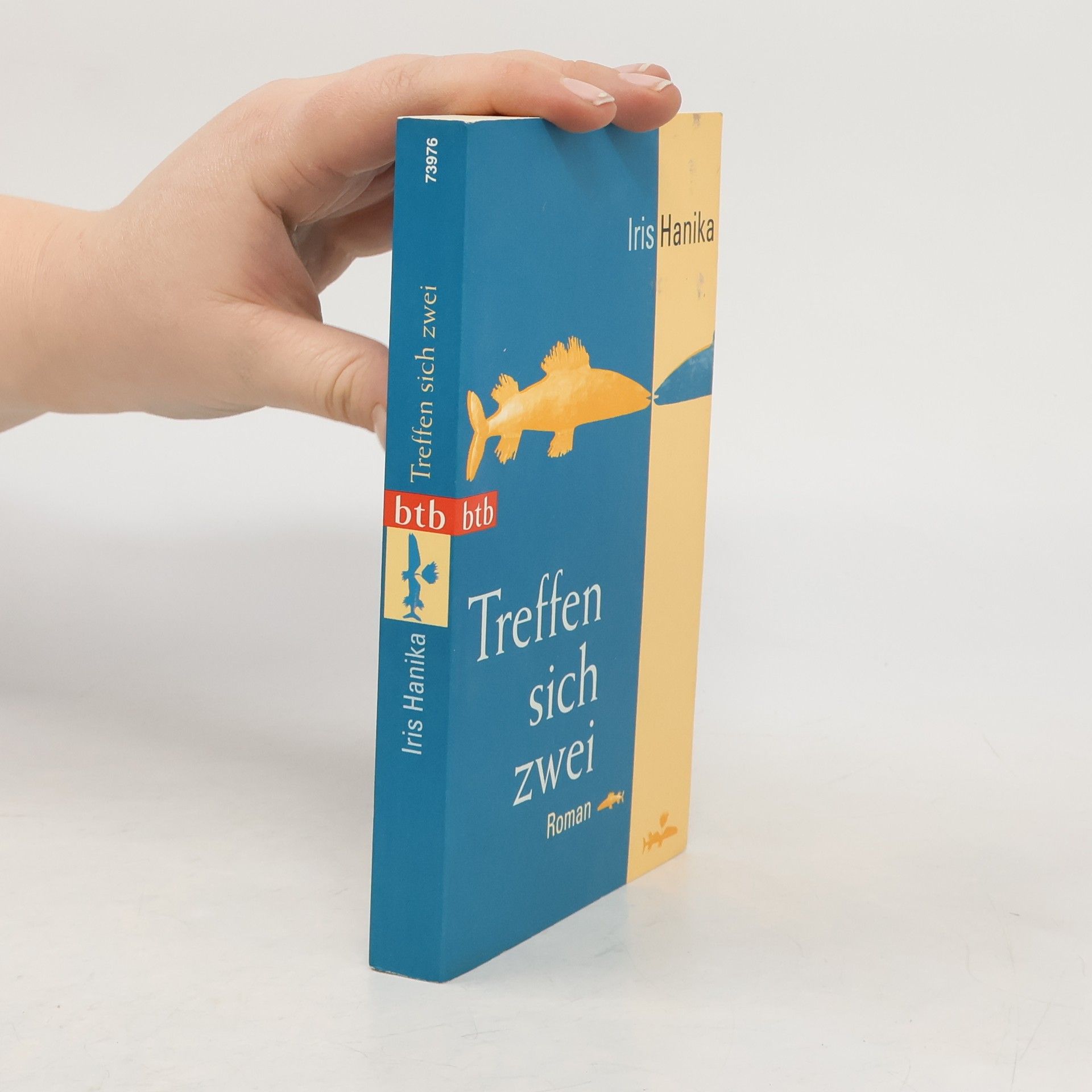 Iris Hanika Treffen sich zwei