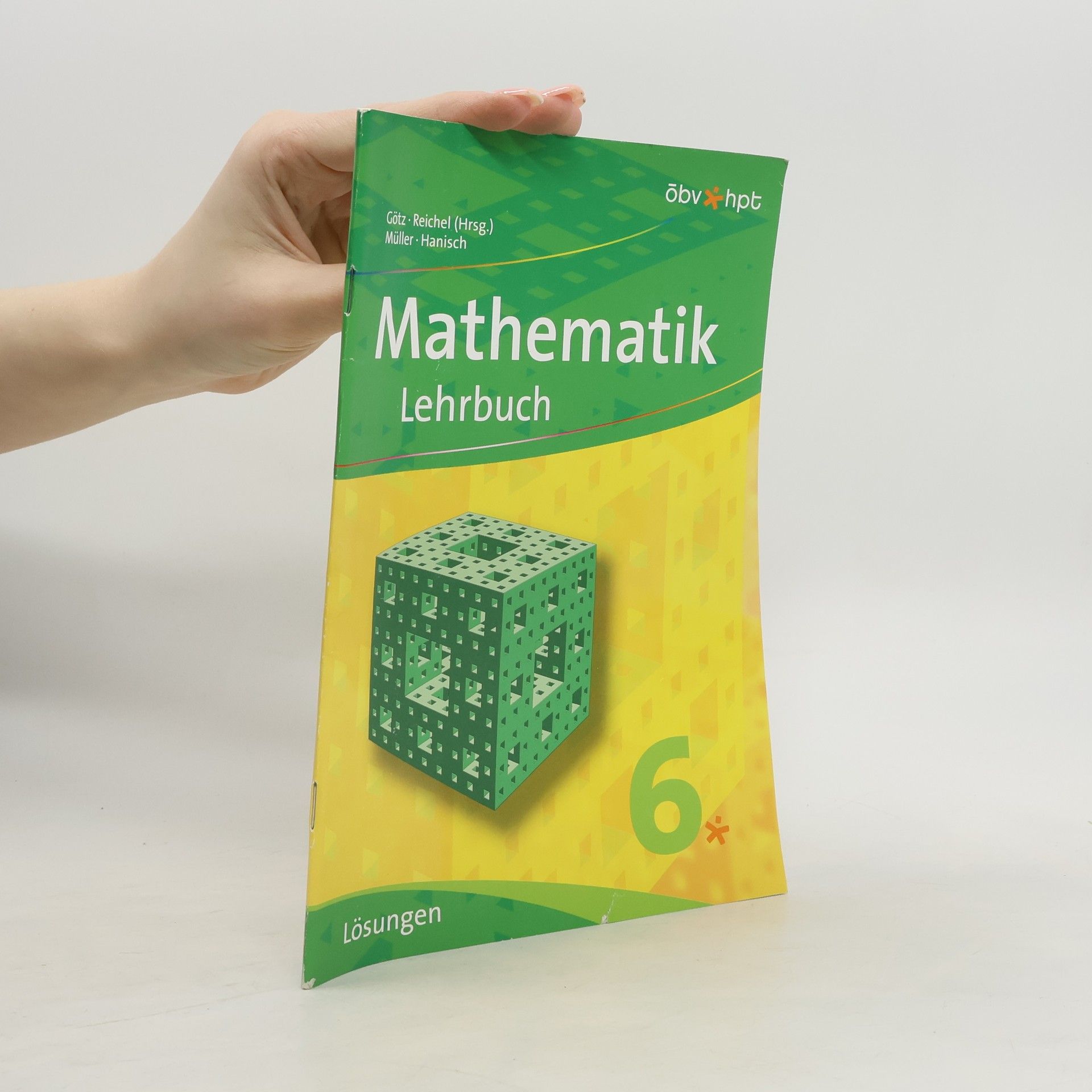 Mathematik 6. Lehrbuch. Lösungen