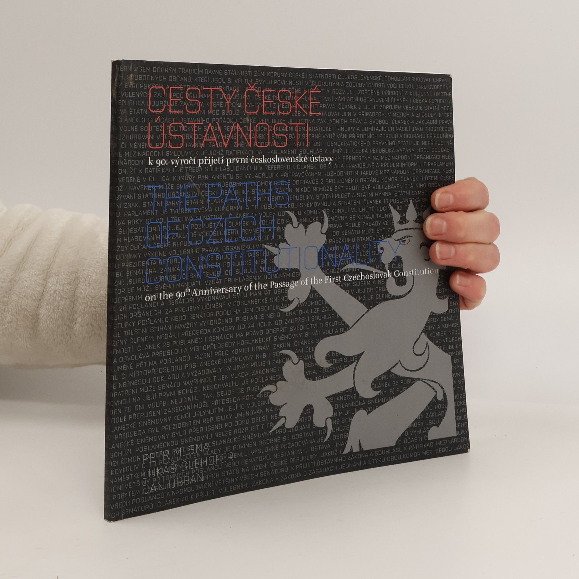 Lukáš Šlehofer Cesty české ústavnosti