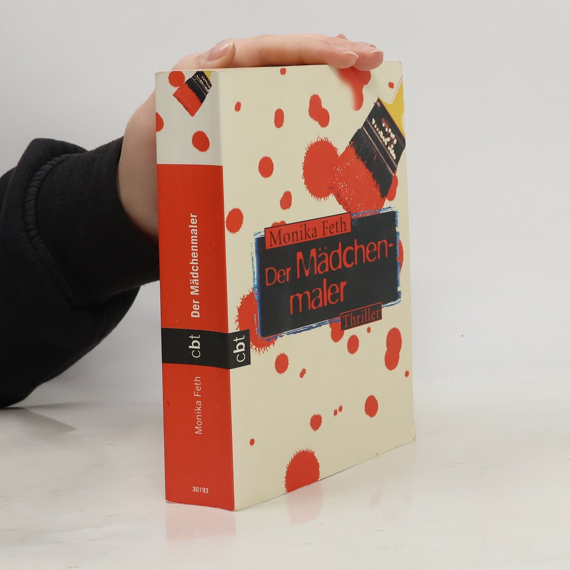 Monika Feth Der Mädchenmaler