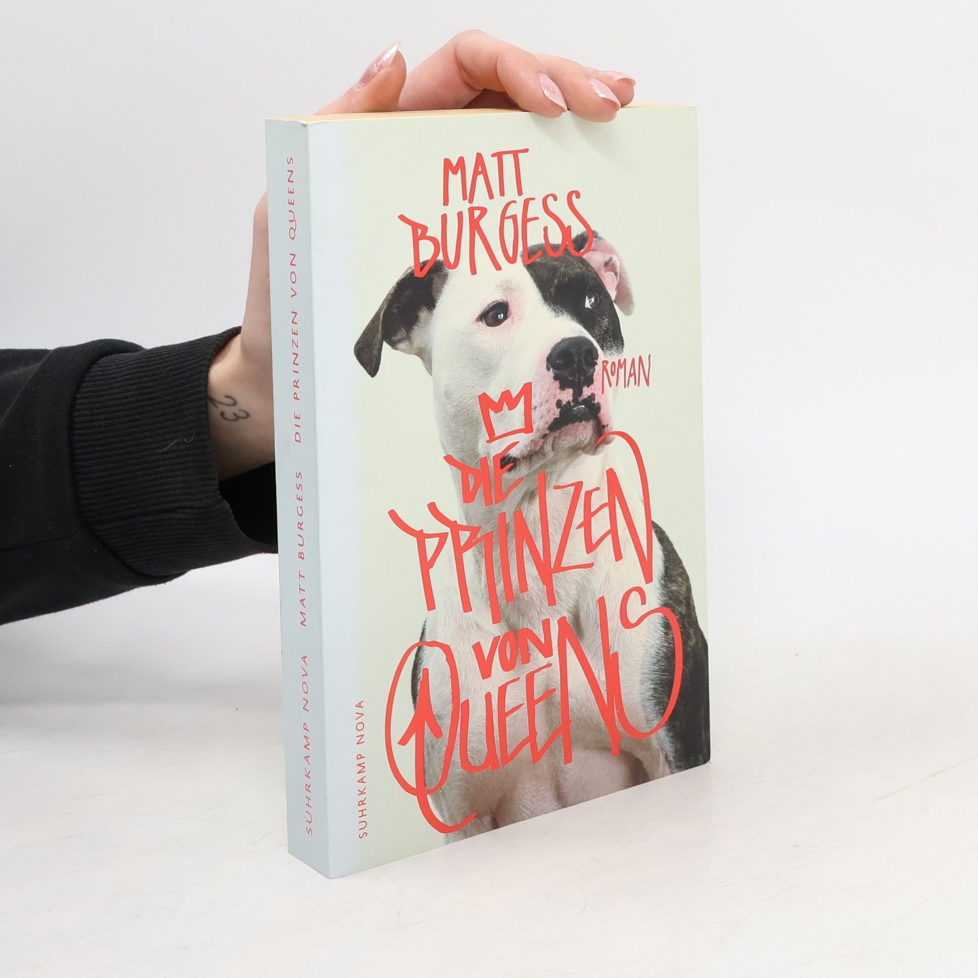 Matt Burgess Die Prinzen von Queens