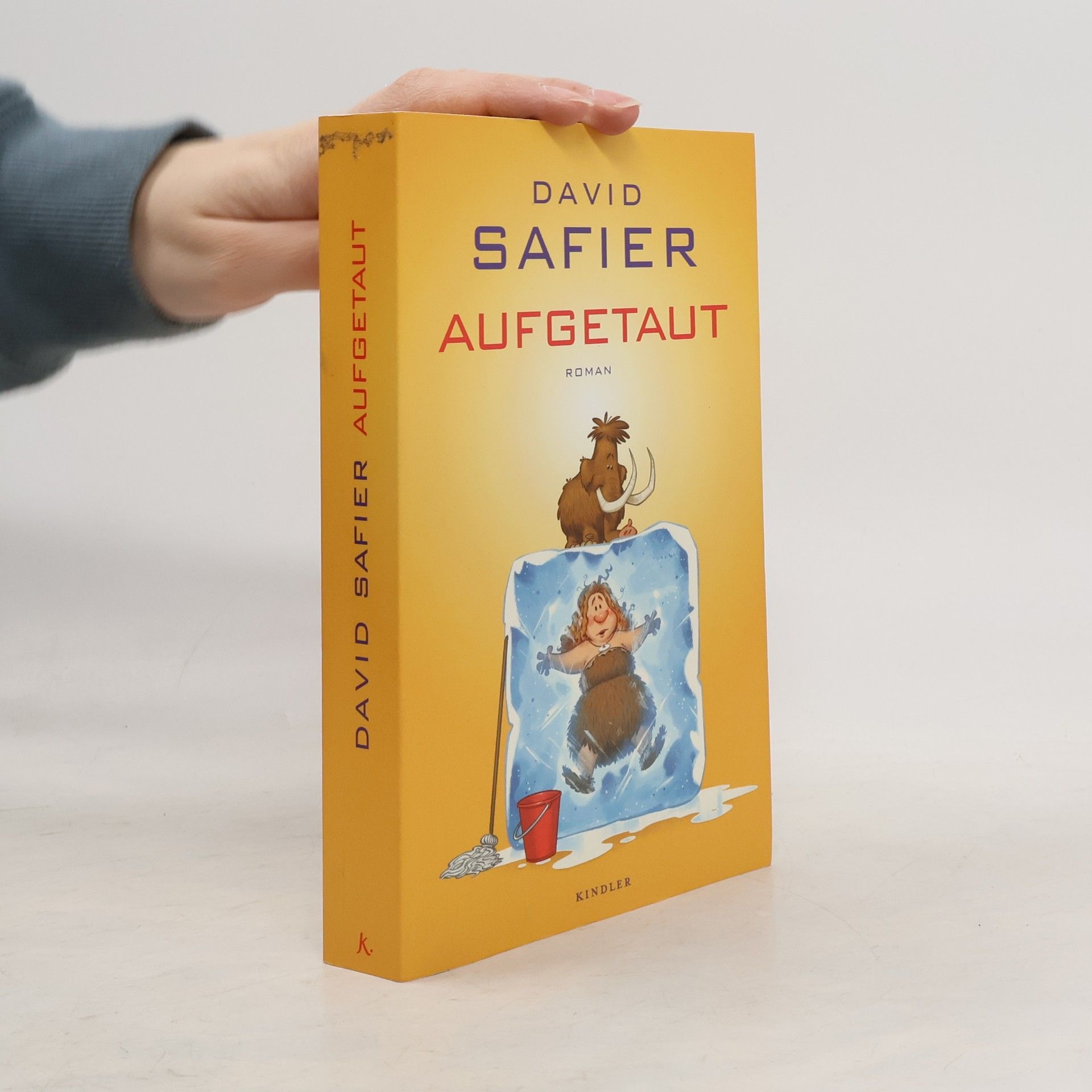 David Safier Aufgetaut