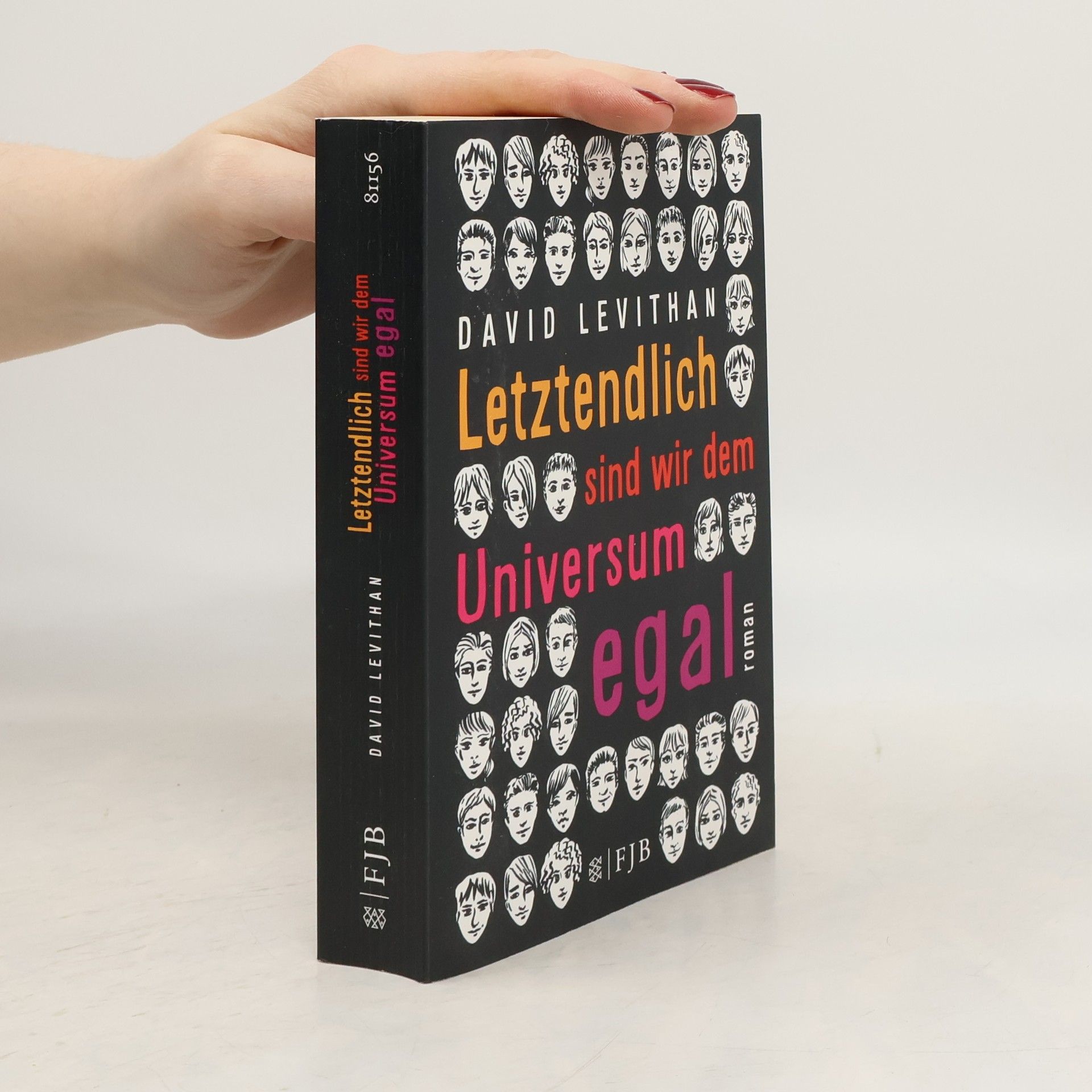 David Levithan Letztendlich sind wir dem Universum egal