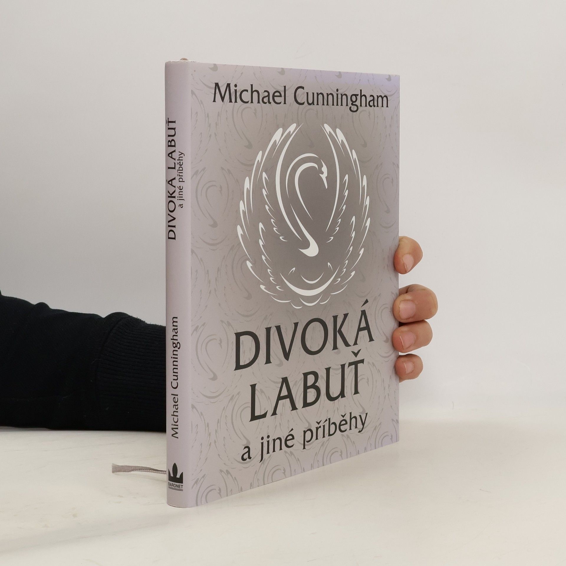 Michael Cunningham Divoká labuť a jiné příběhy