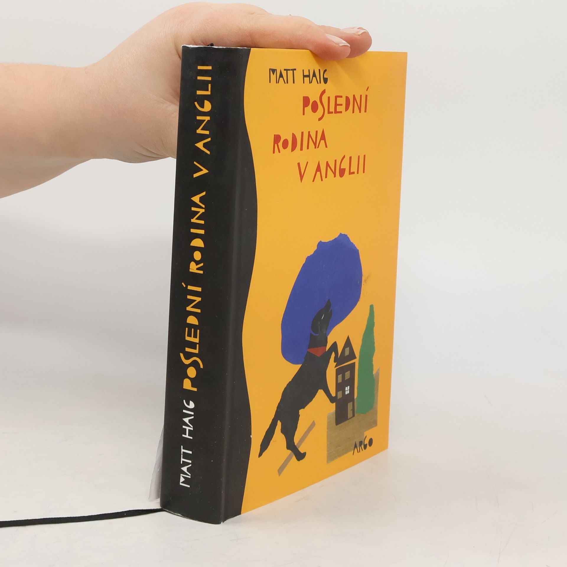 Matt Haig Poslední rodina v Anglii