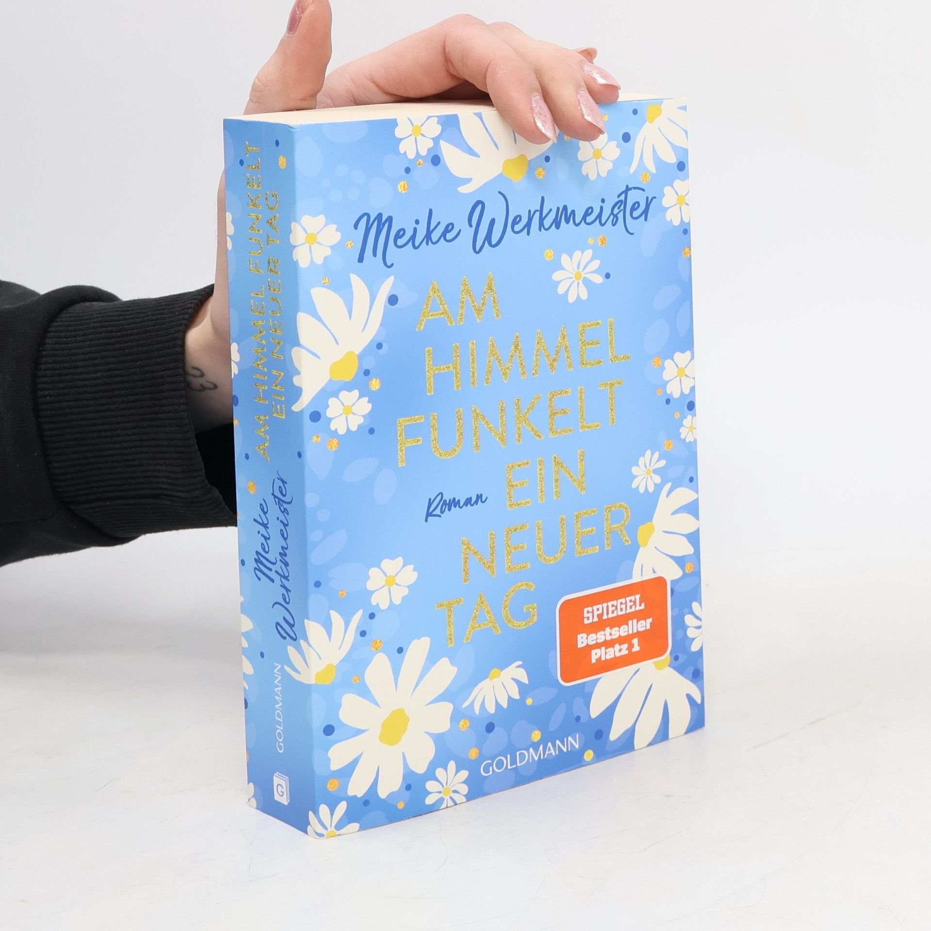 Meike Werkmeister Am Himmel funkelt ein neuer Tag